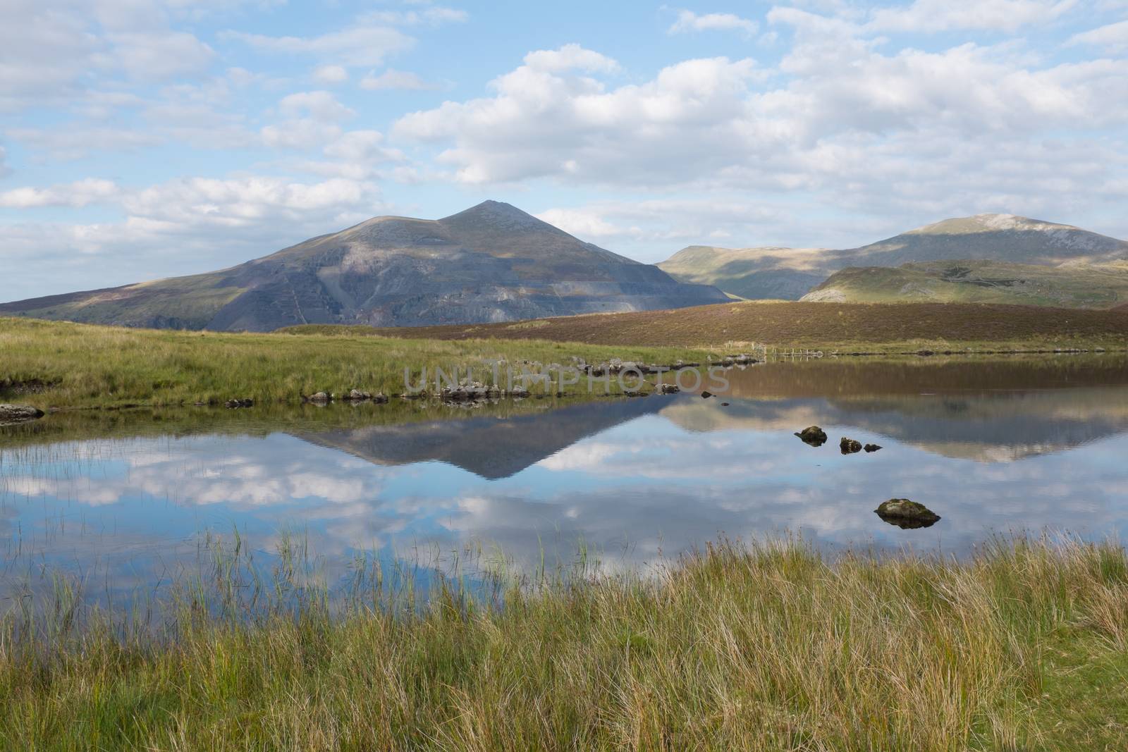 Llyn Dwythwch reflections by richsouthwales