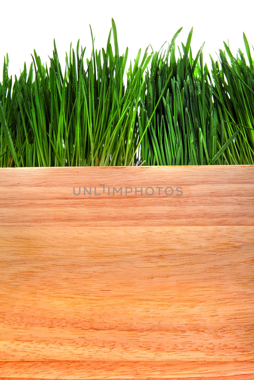 Grass and Wooden Board Isolated on the White Background