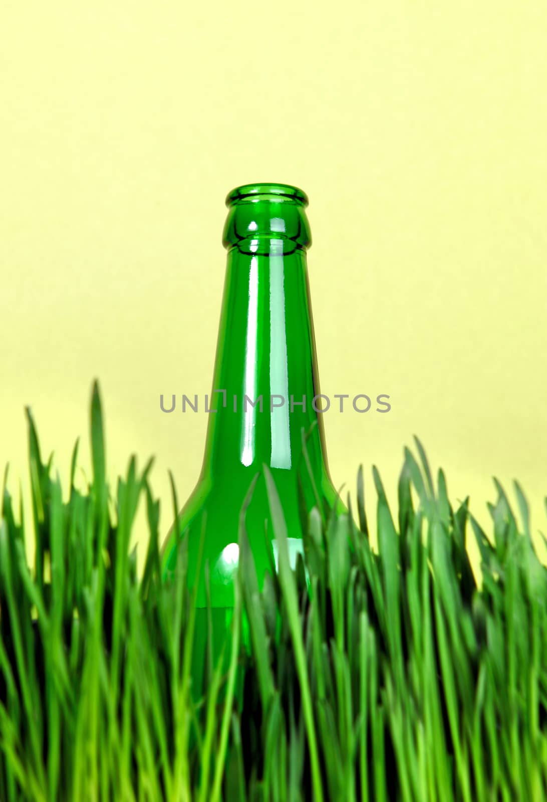 Bottle in the Grass by sabphoto