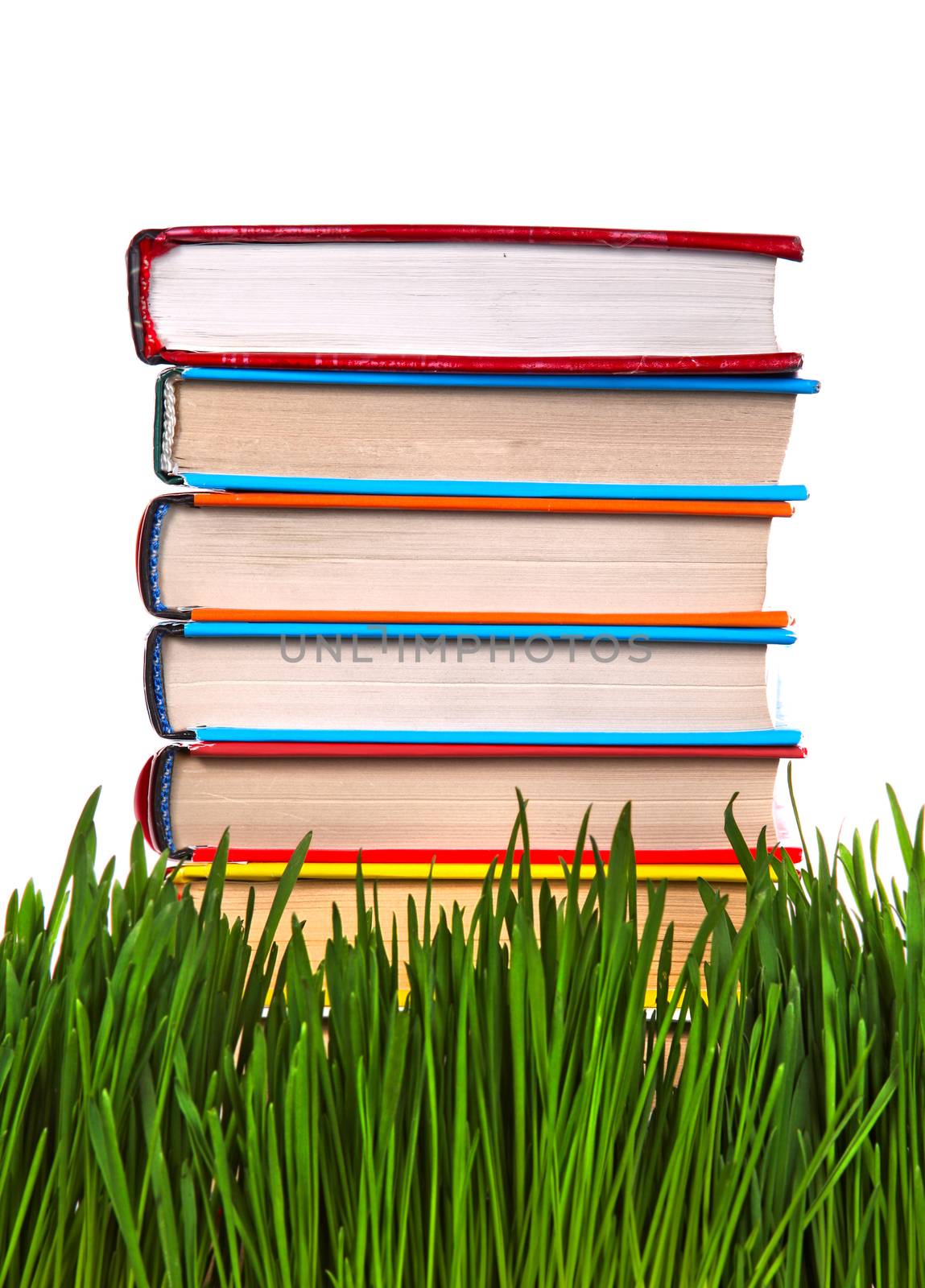 Pile of the Books on the Fresh Grass on the White Background Closeup