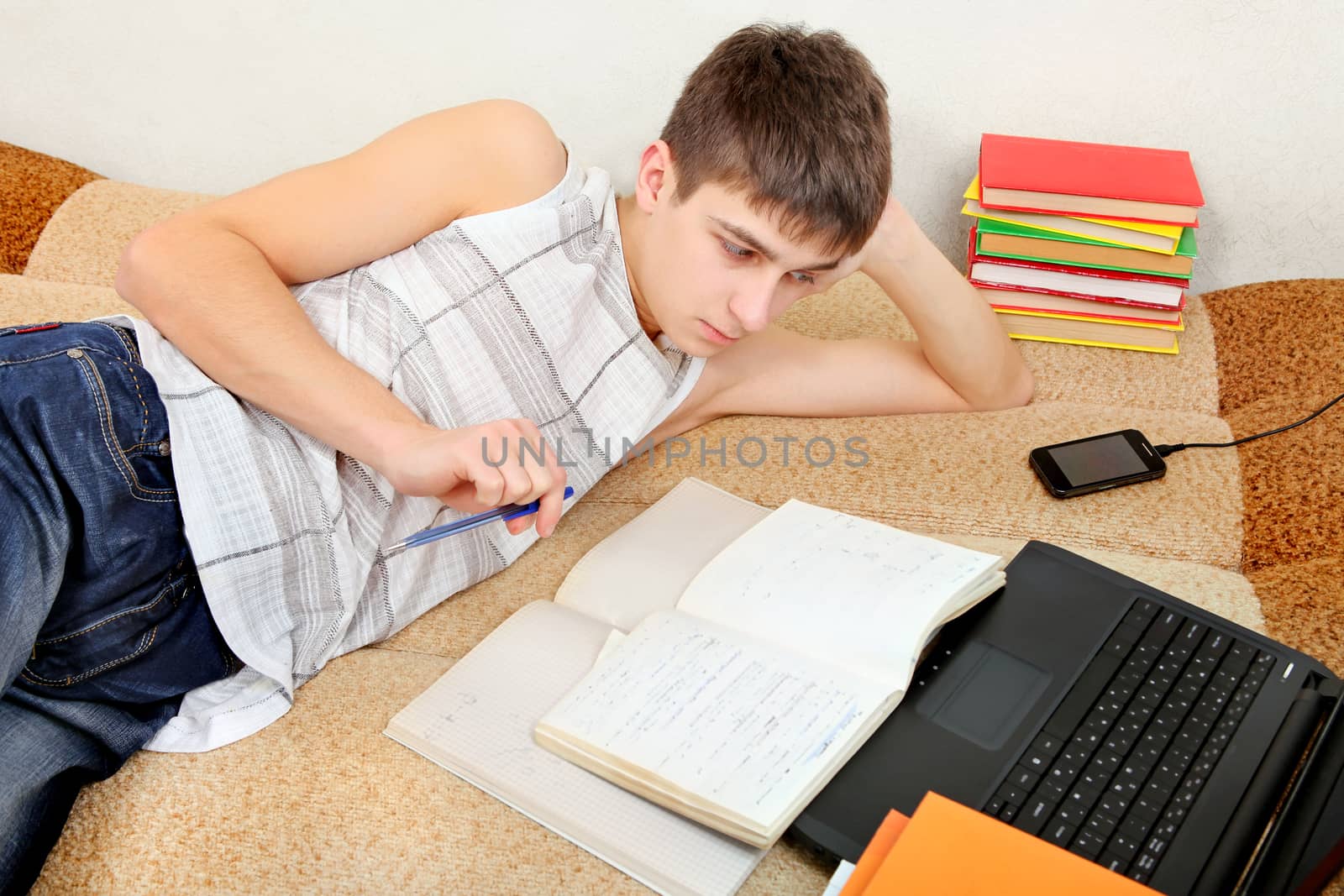 Teenager doing Homework on the Sofa at the Home