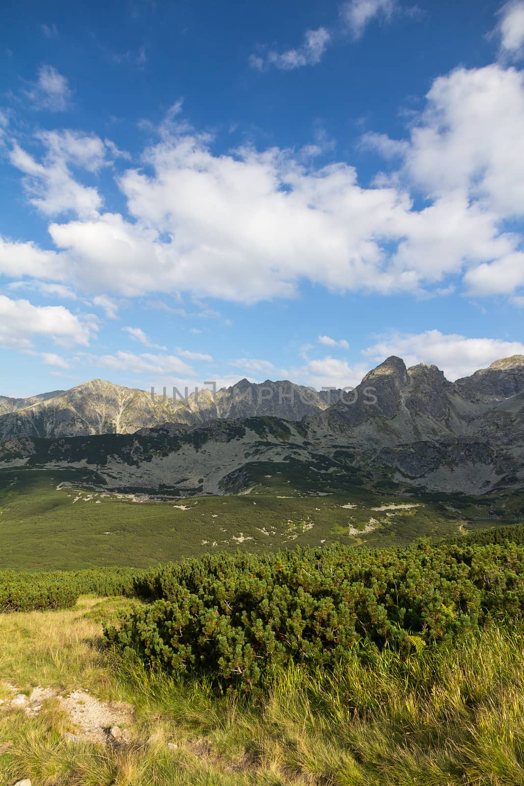 view on mountais in summer and blue sky with clouds