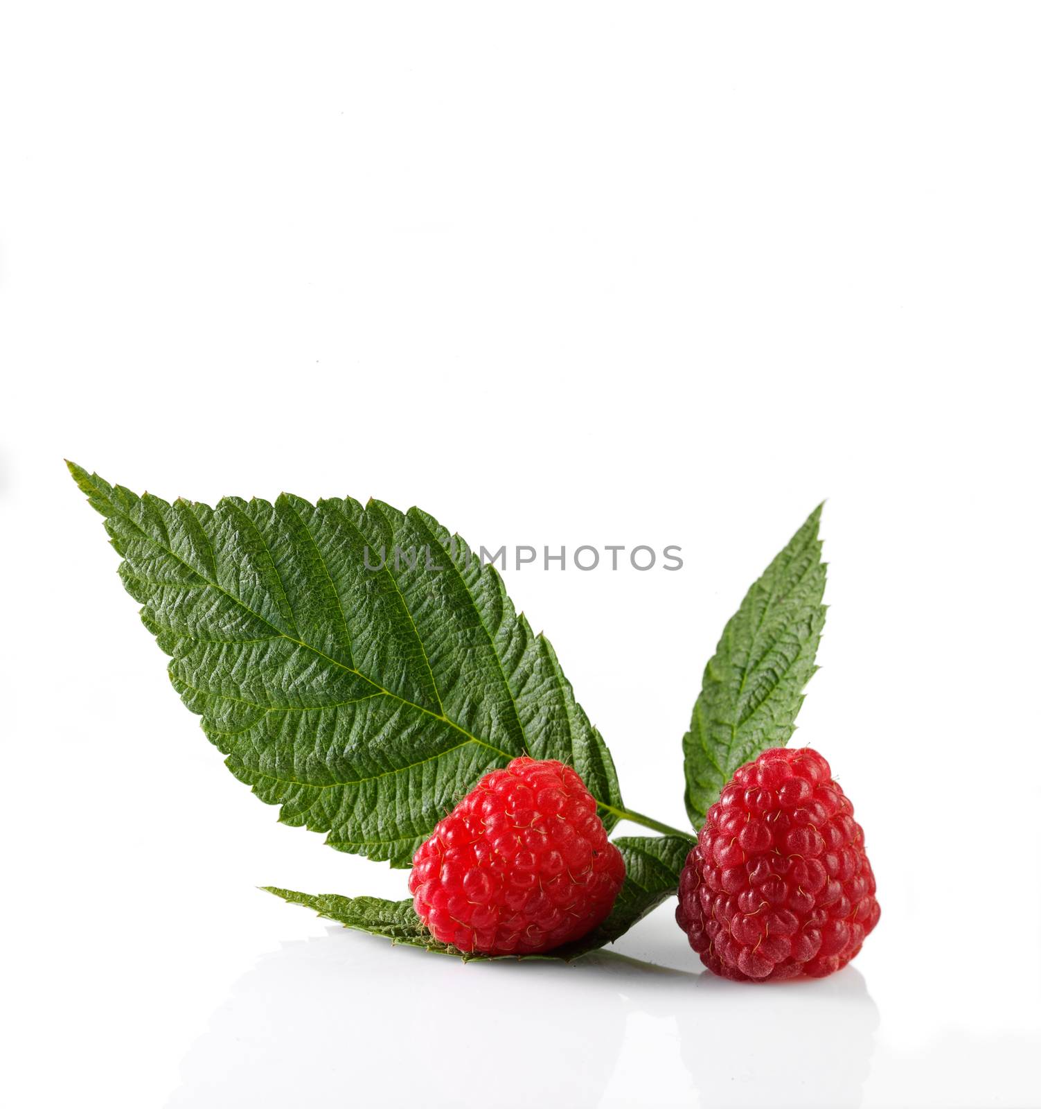 Fresh and ripe raspberryy over white background