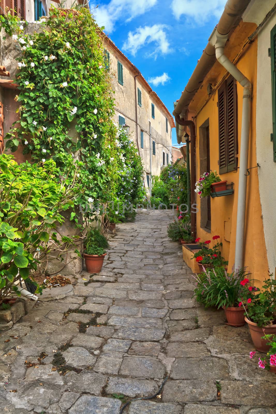 view in Marciana, small village in Elba island, Tuscany, Italy