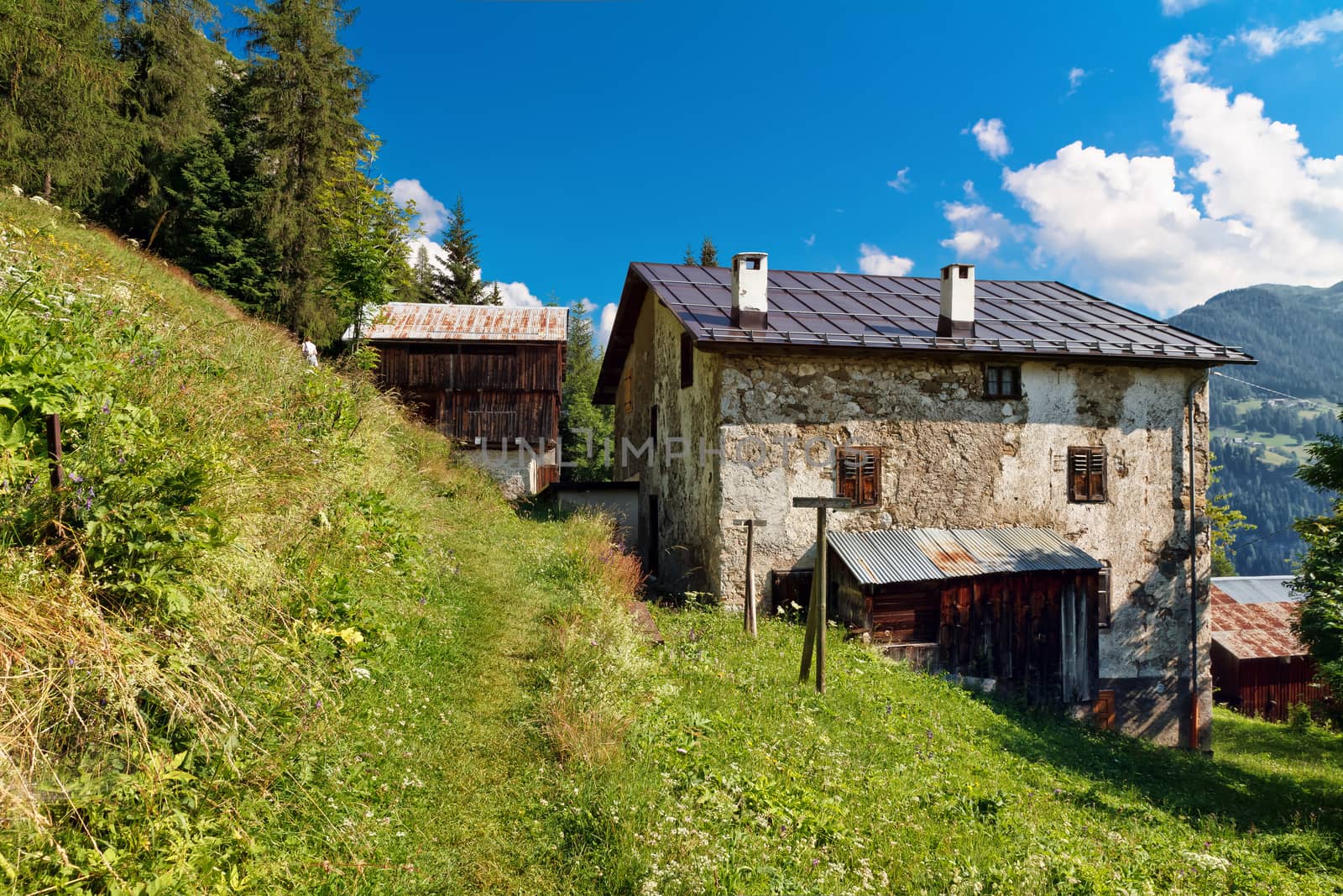 barn in a green field in Ronch, small village in Italian dolomites