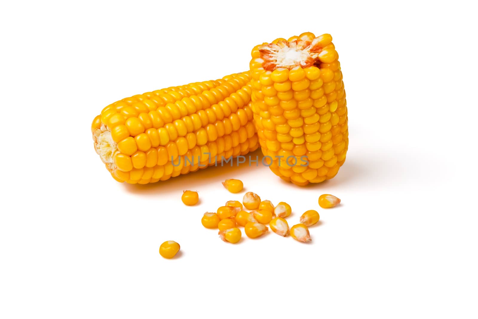 Corn by pilotL39