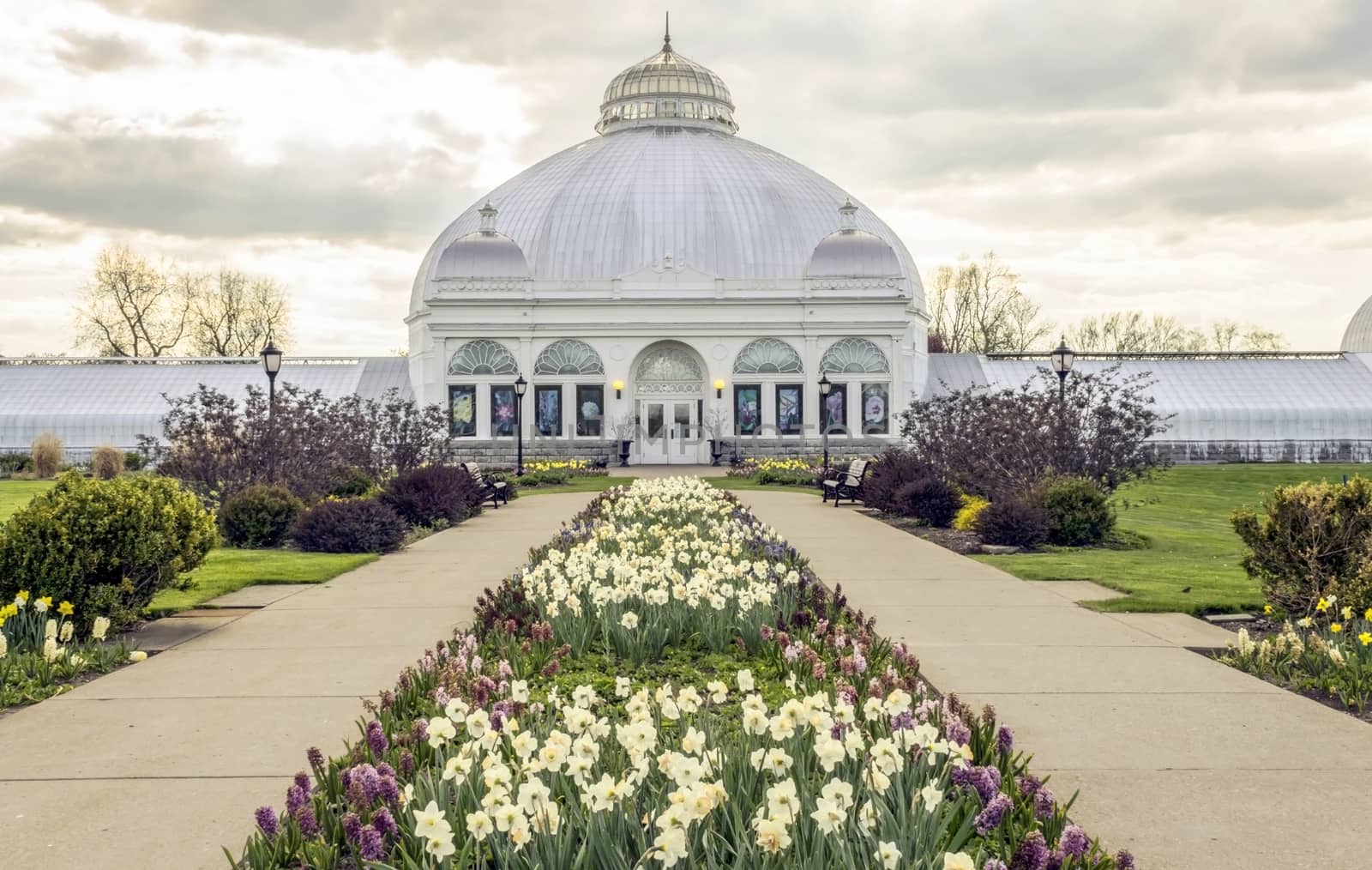 Botannical Gardens by fallesenphotography