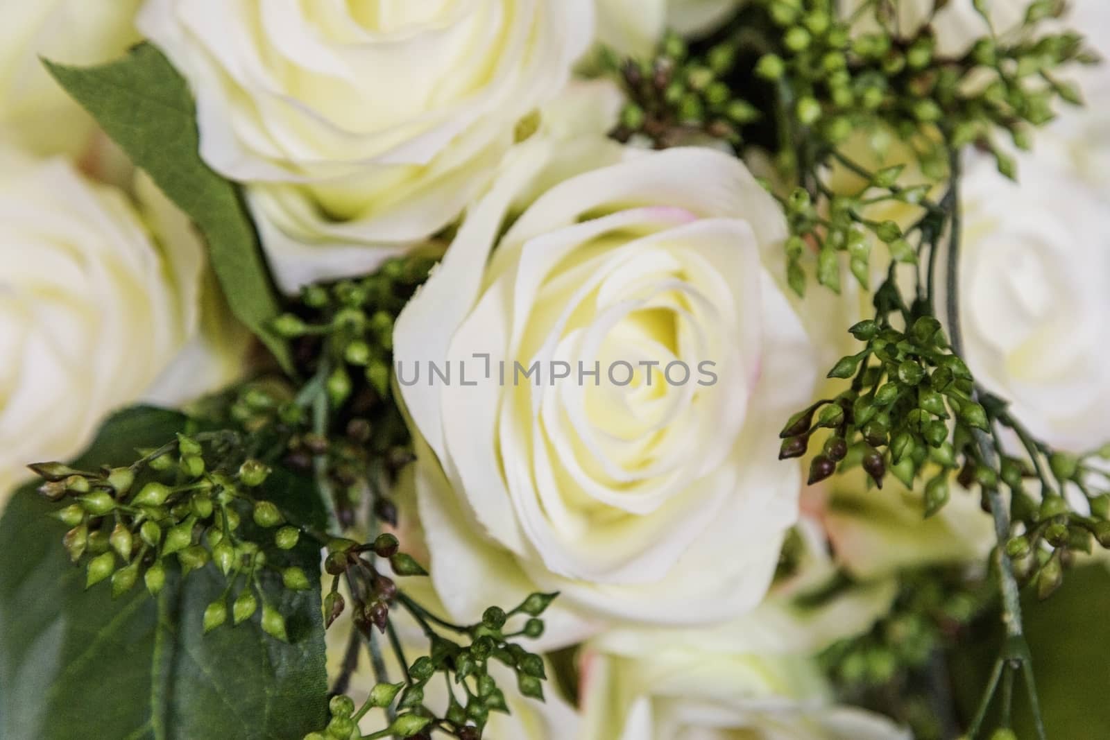 Off white cream colored roses in this classic wedding bouquet. 