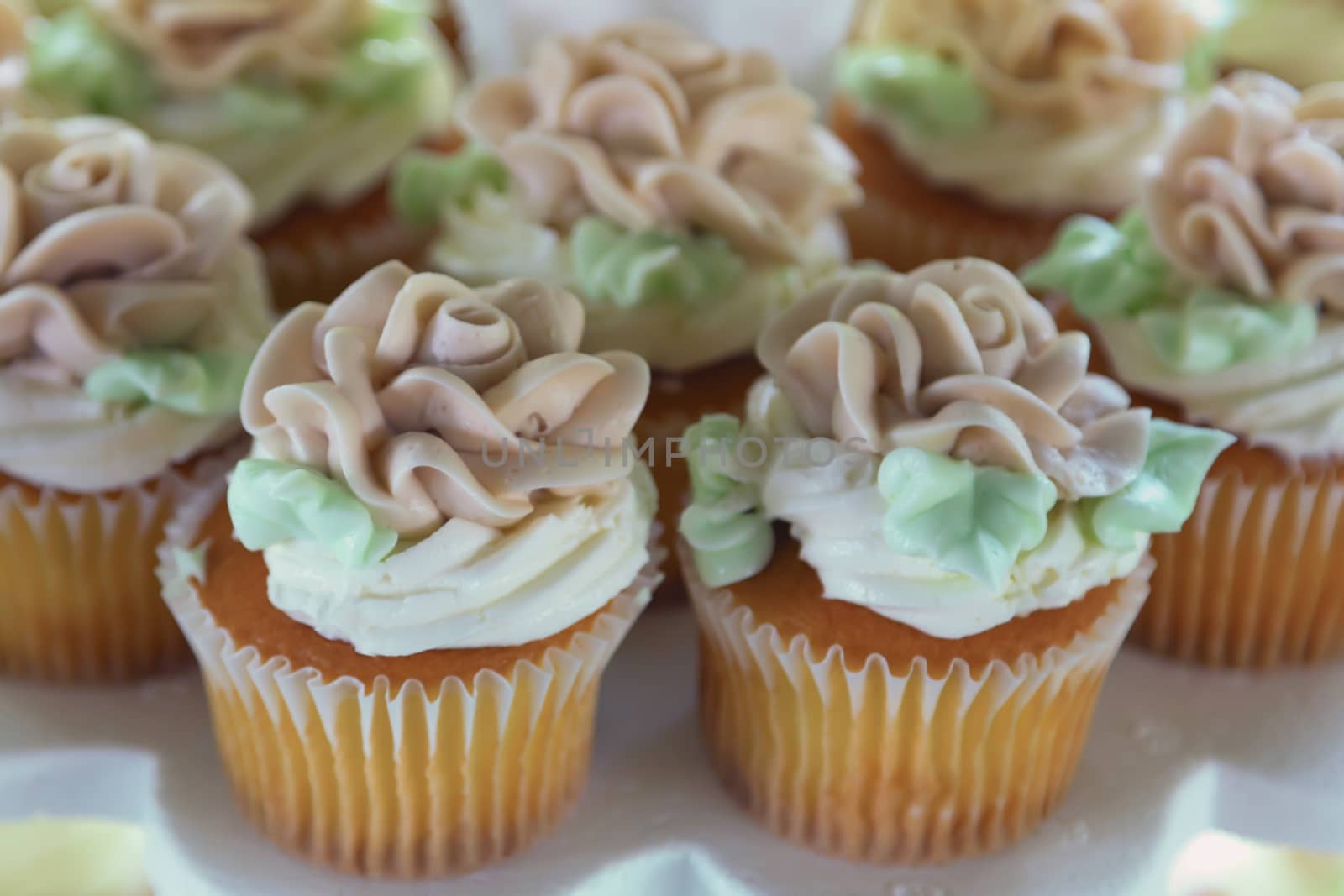 Yummy and delicious buttercream cupcakes with generous amounts of decorative frosting. 