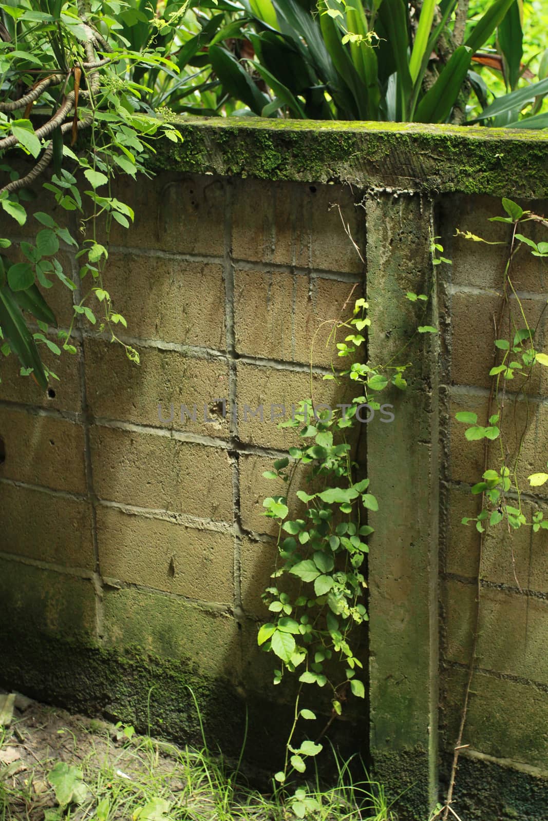 Look outside the window there are the fence that is full of Creepers.