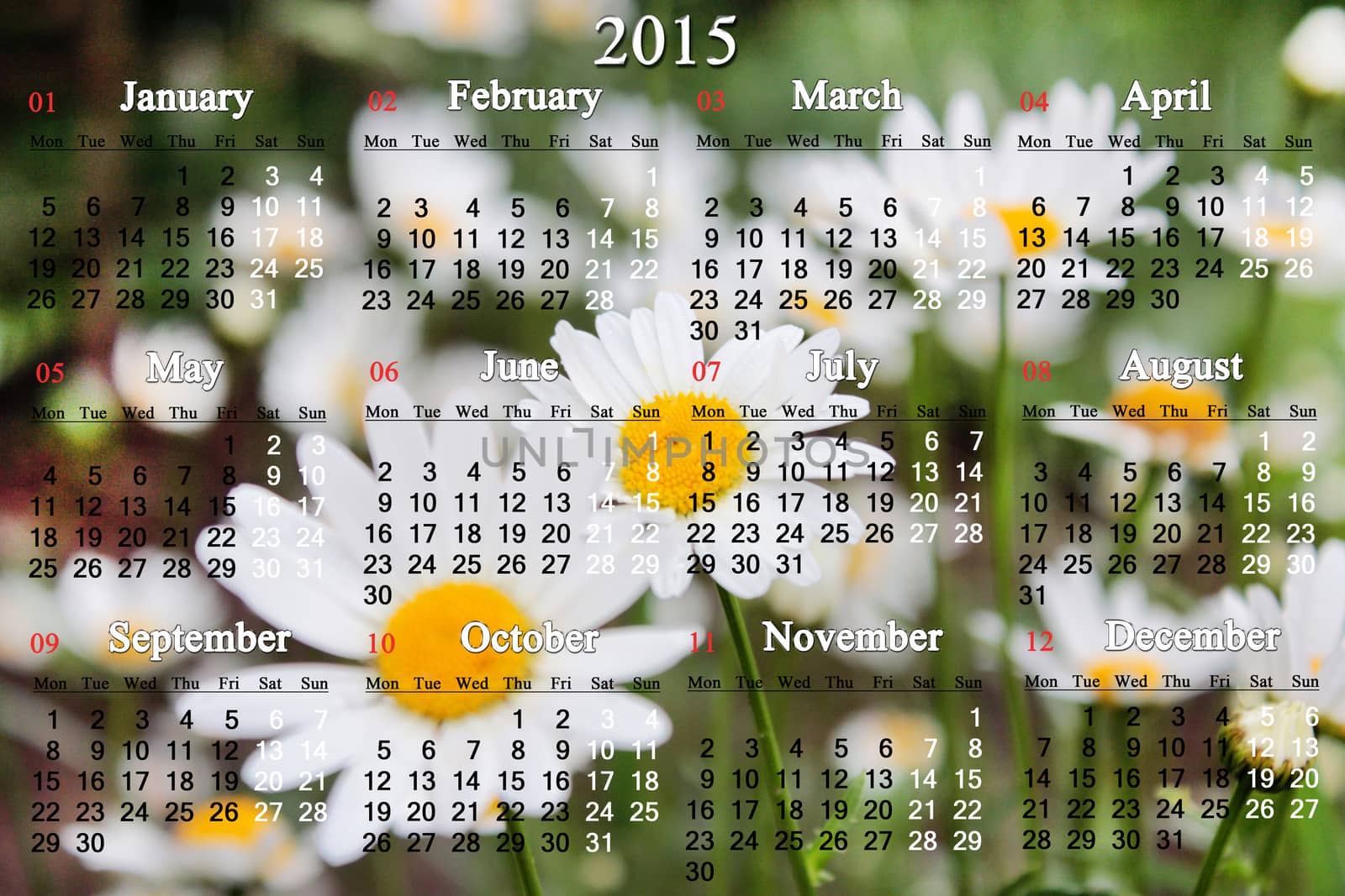 office calendar for 2015 year on the white camomiles background