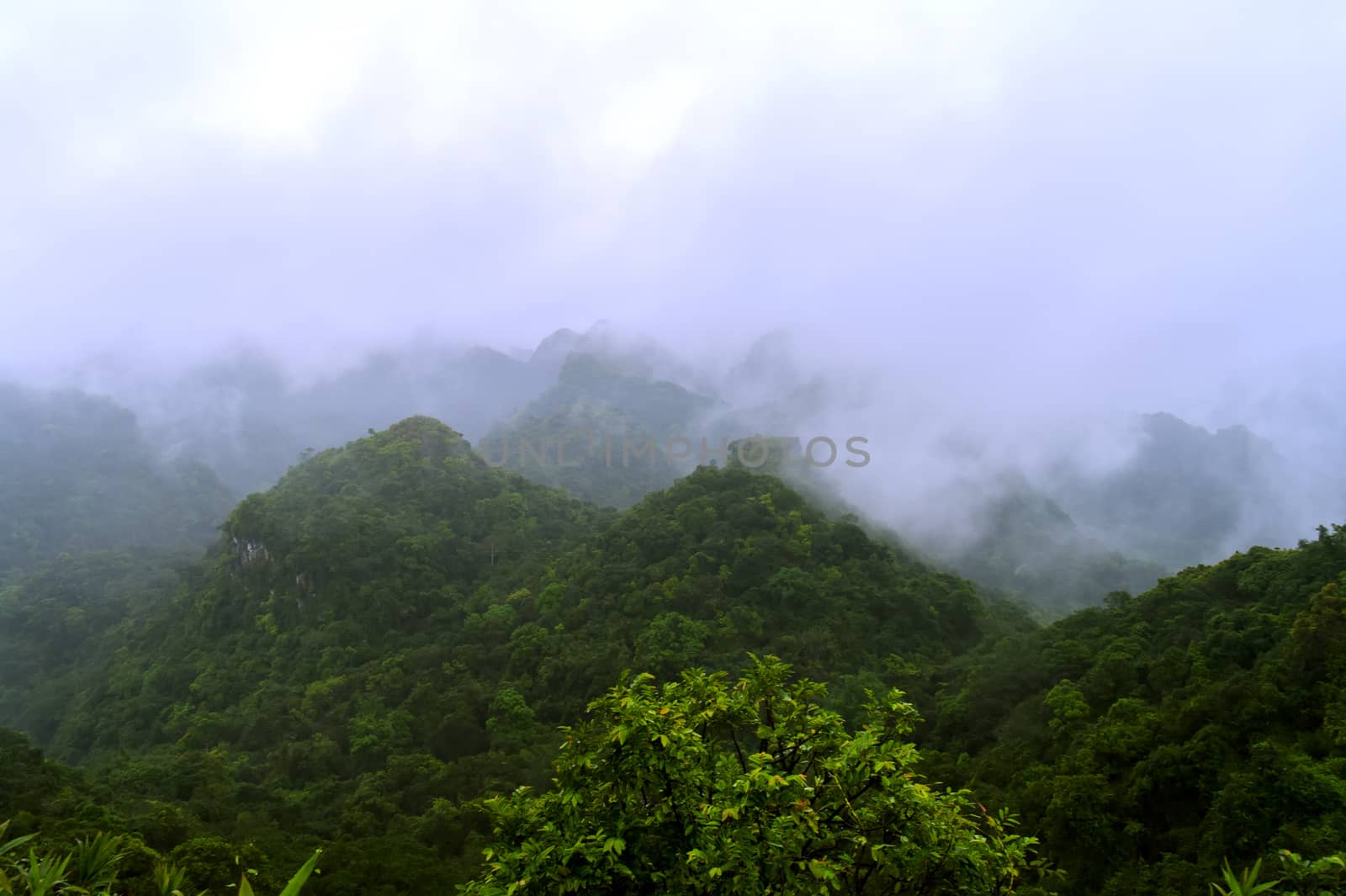 View from Peak in Cat Ba National Park. Ha Long, Vietnam