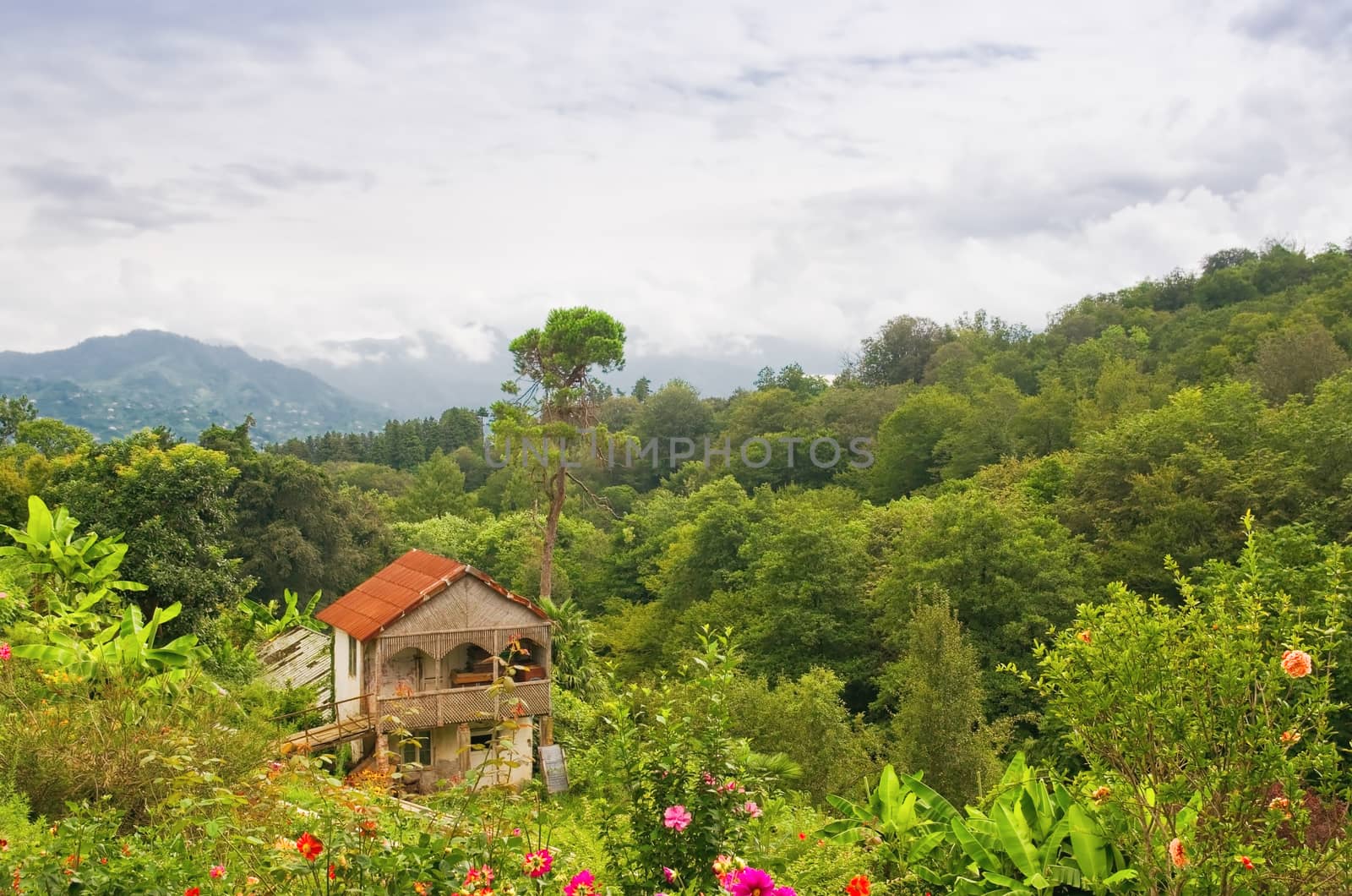 Mountain  landscape with colorful forest and traditional houses