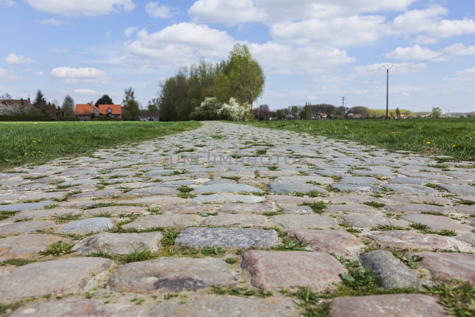 Cobbelstone road located in the North of France near Lille. On such roads every year is organized one of the most famous one day cycling race Paris-Roubaix.