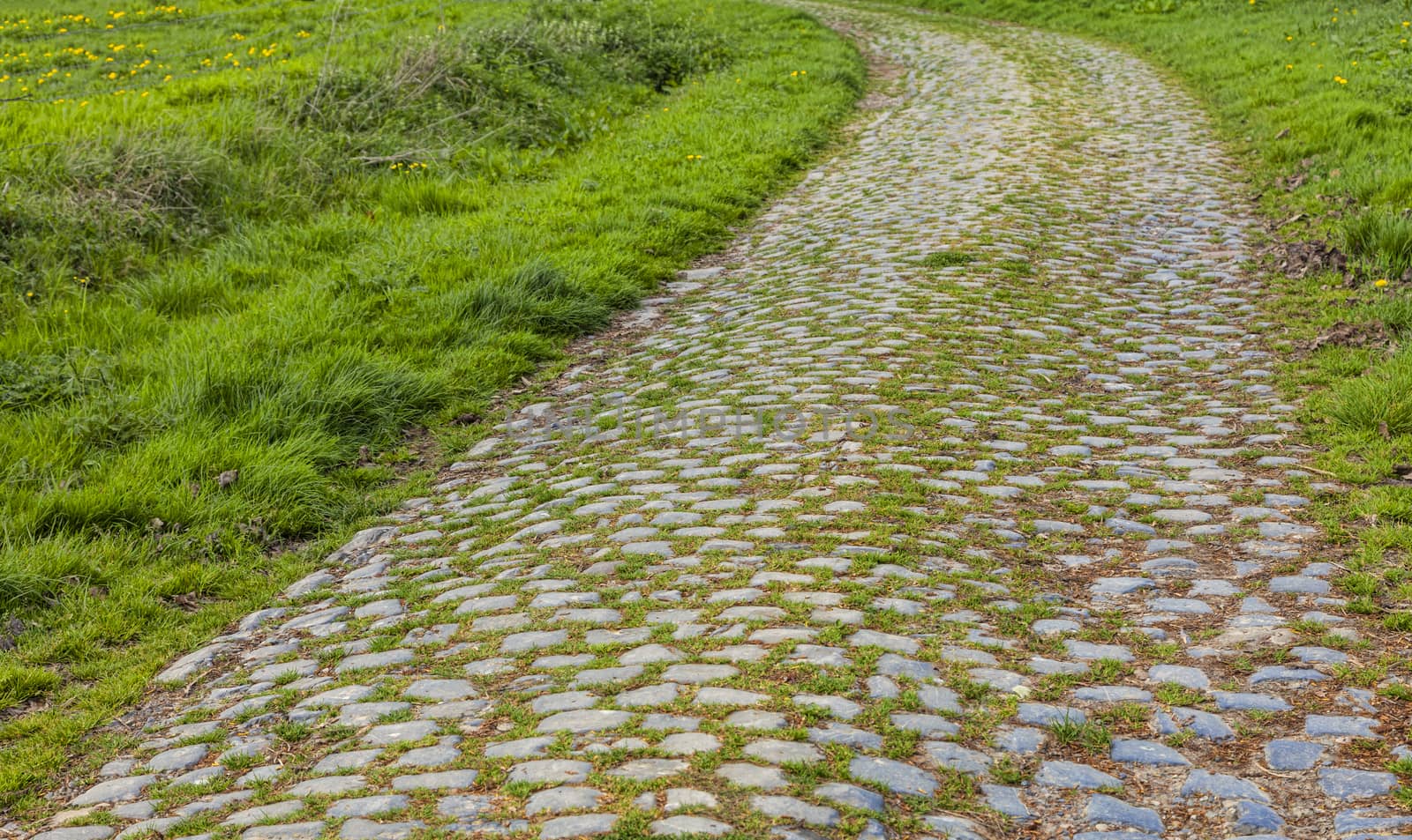 Cobbelstone road located in the North of France near Lille. On such roads every year is organized one of the most famous one day cycling race Paris-Roubaix.