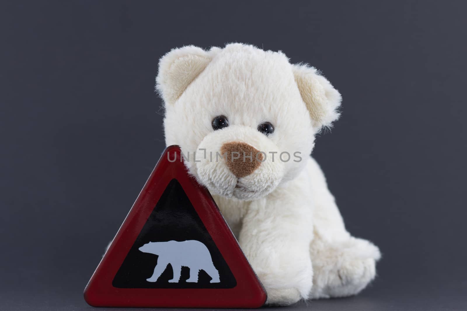 Polar Bear with Warning Sign, endangered animal