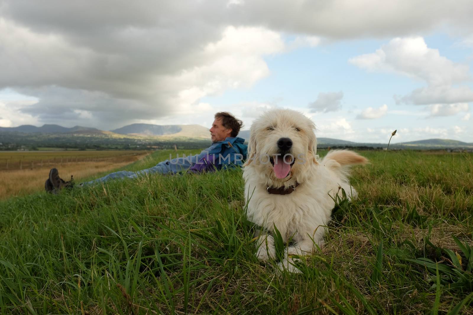 Labradoodle and owner. by richsouthwales