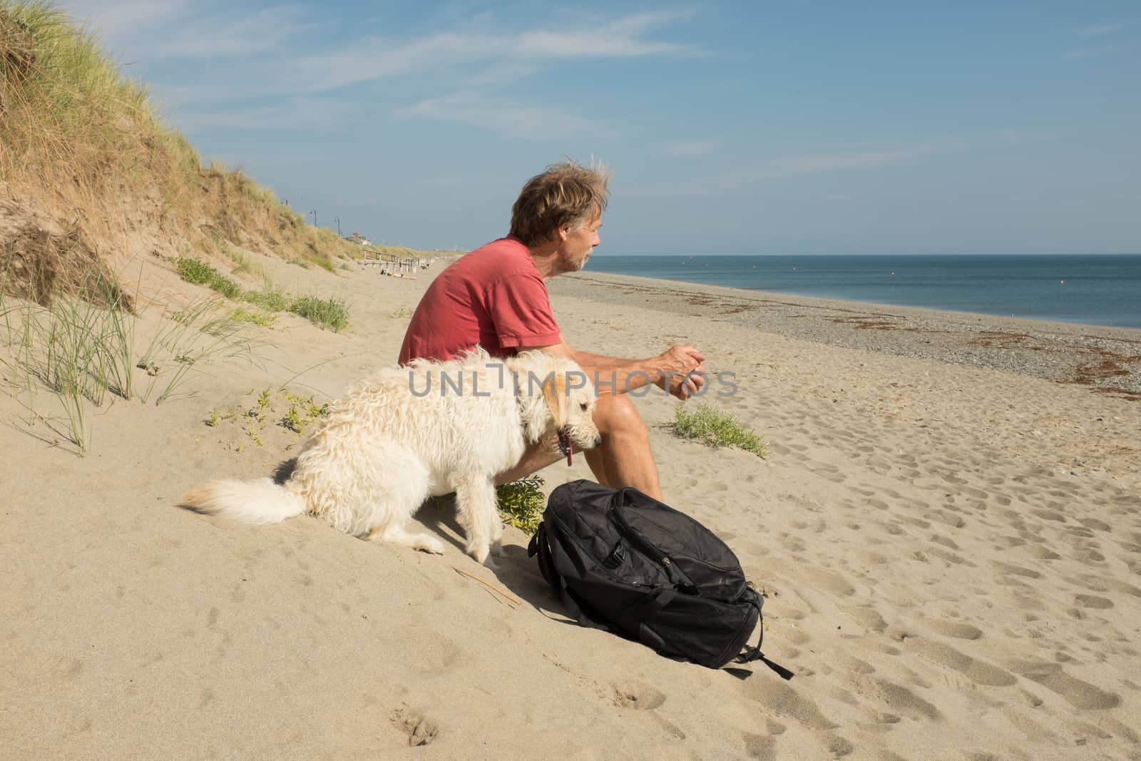 A sixty year old male with a dog, ladradoodle, sitting on a beach looking out to sea in the sun.
