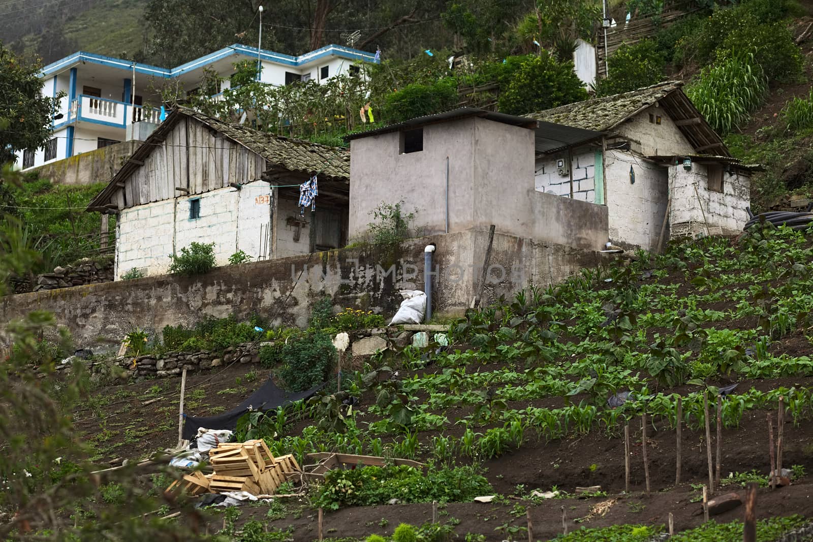 TUNGURAHUA, ECUADOR - MAY 12, 2014: Small house with a garden along the road between Ambato and Banos on May 12, 2014 in Tungurahua Province, Ecuador