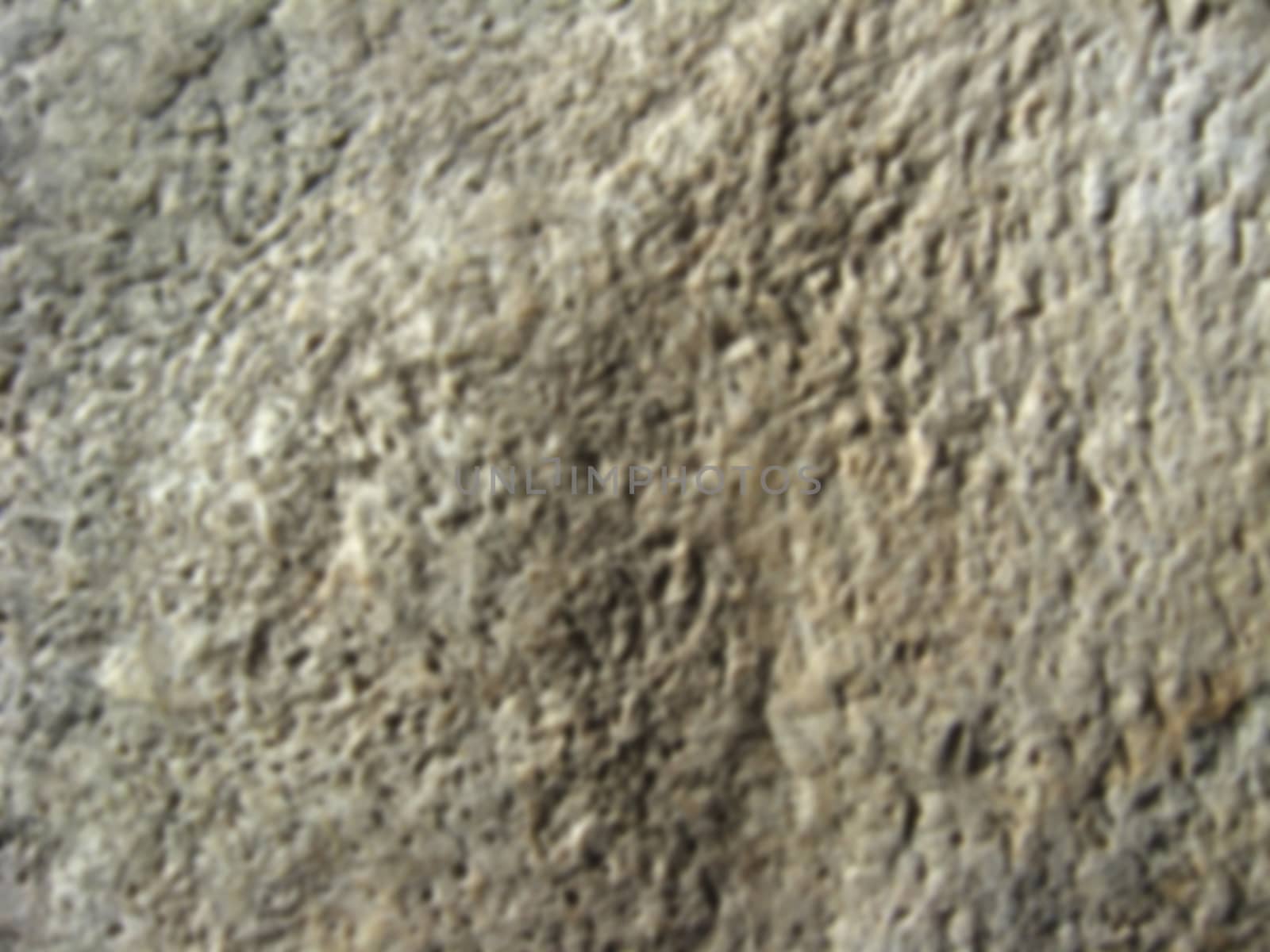 the texture of porous surface of grey stone