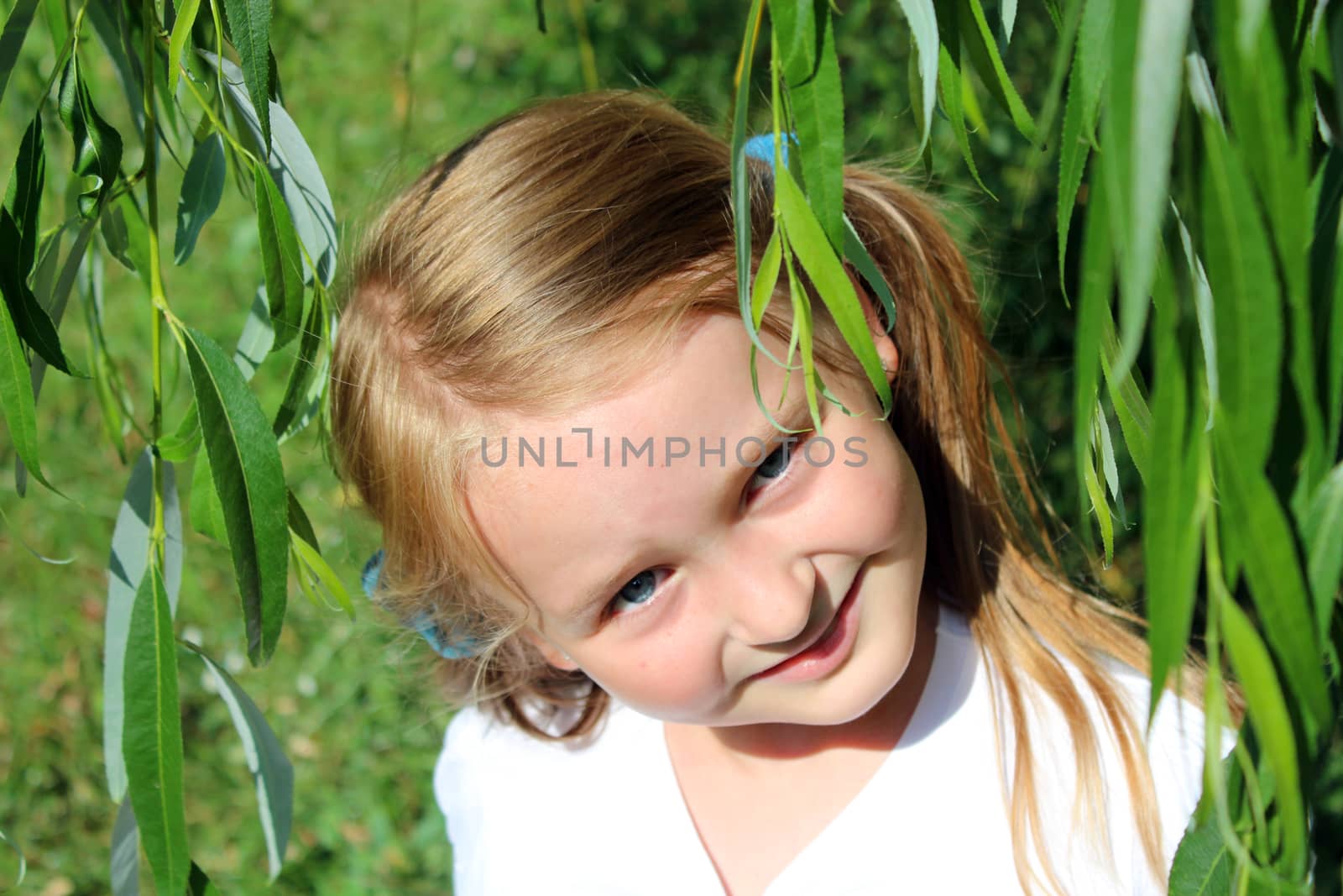 girl with beautiful coiffure besides the leaves of willow