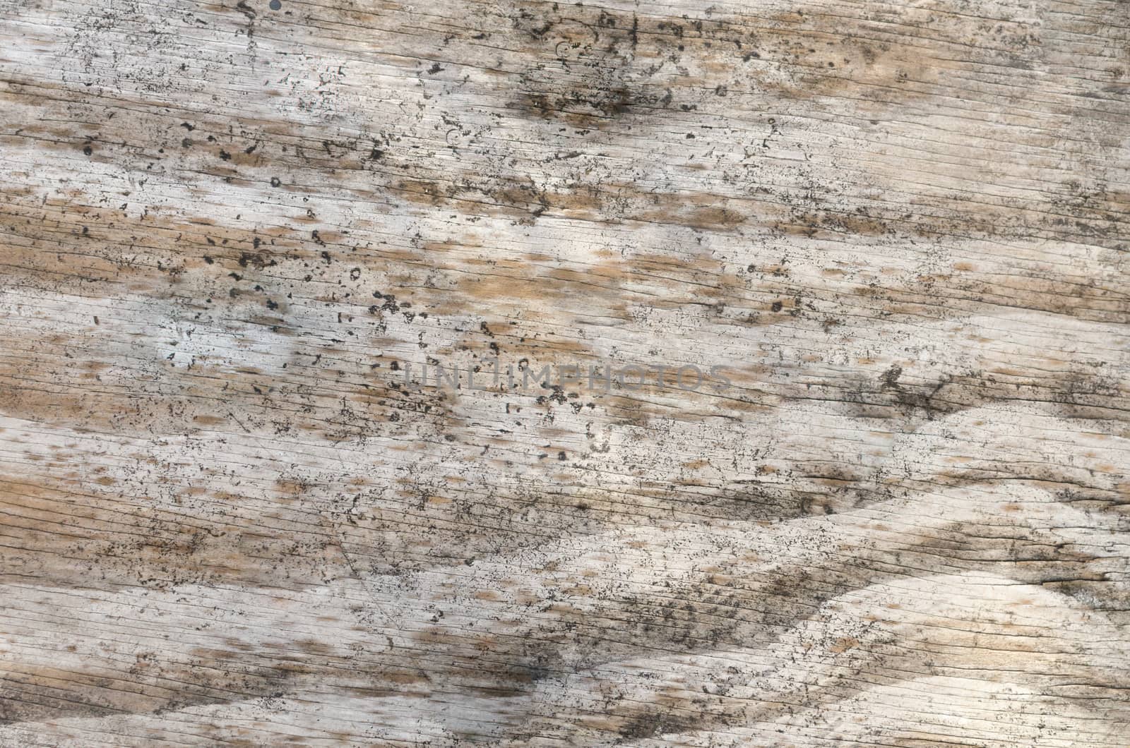 Old wood plank brown texture background .
