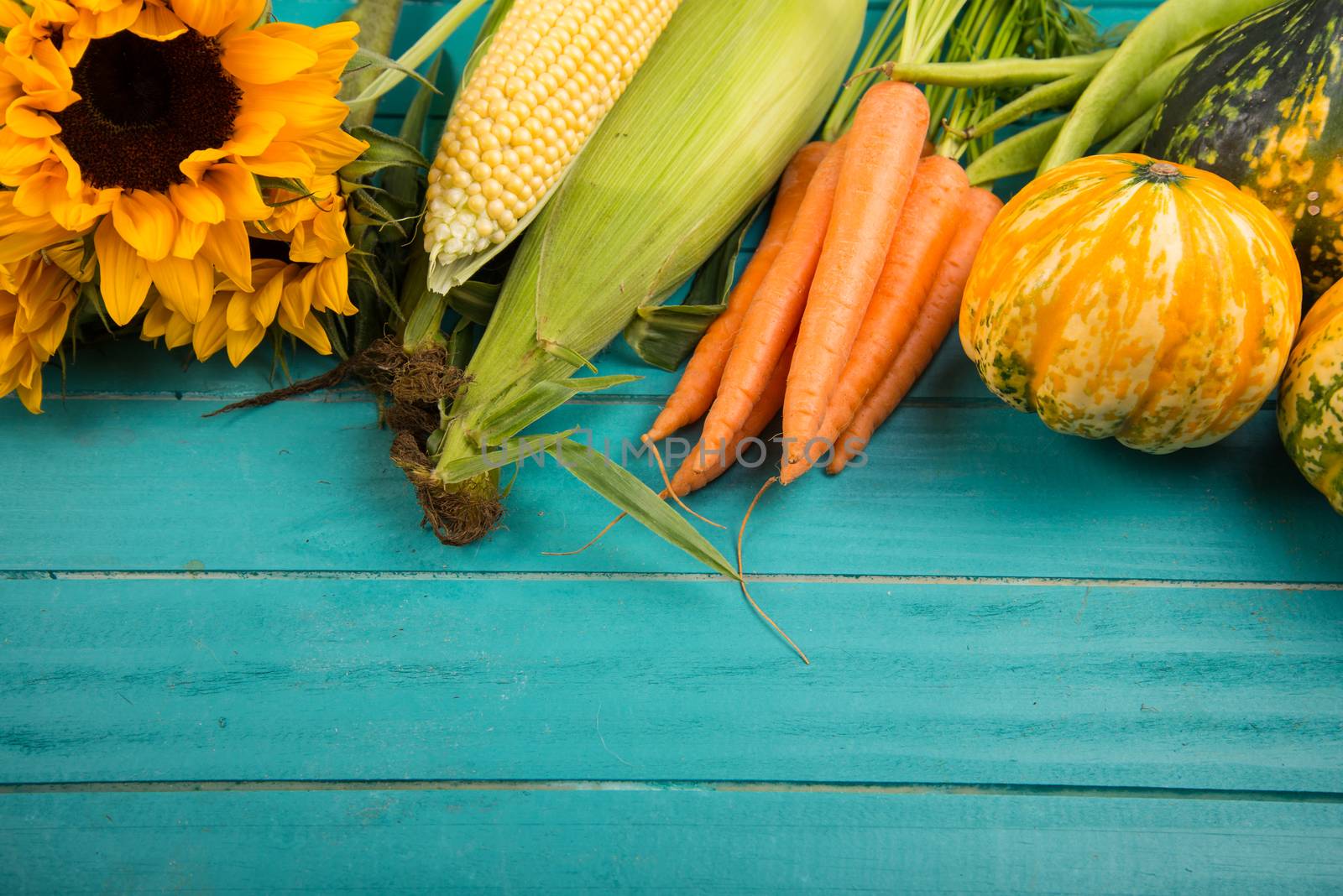 Farm fresh organic vegetables on rustic wooden blue table background