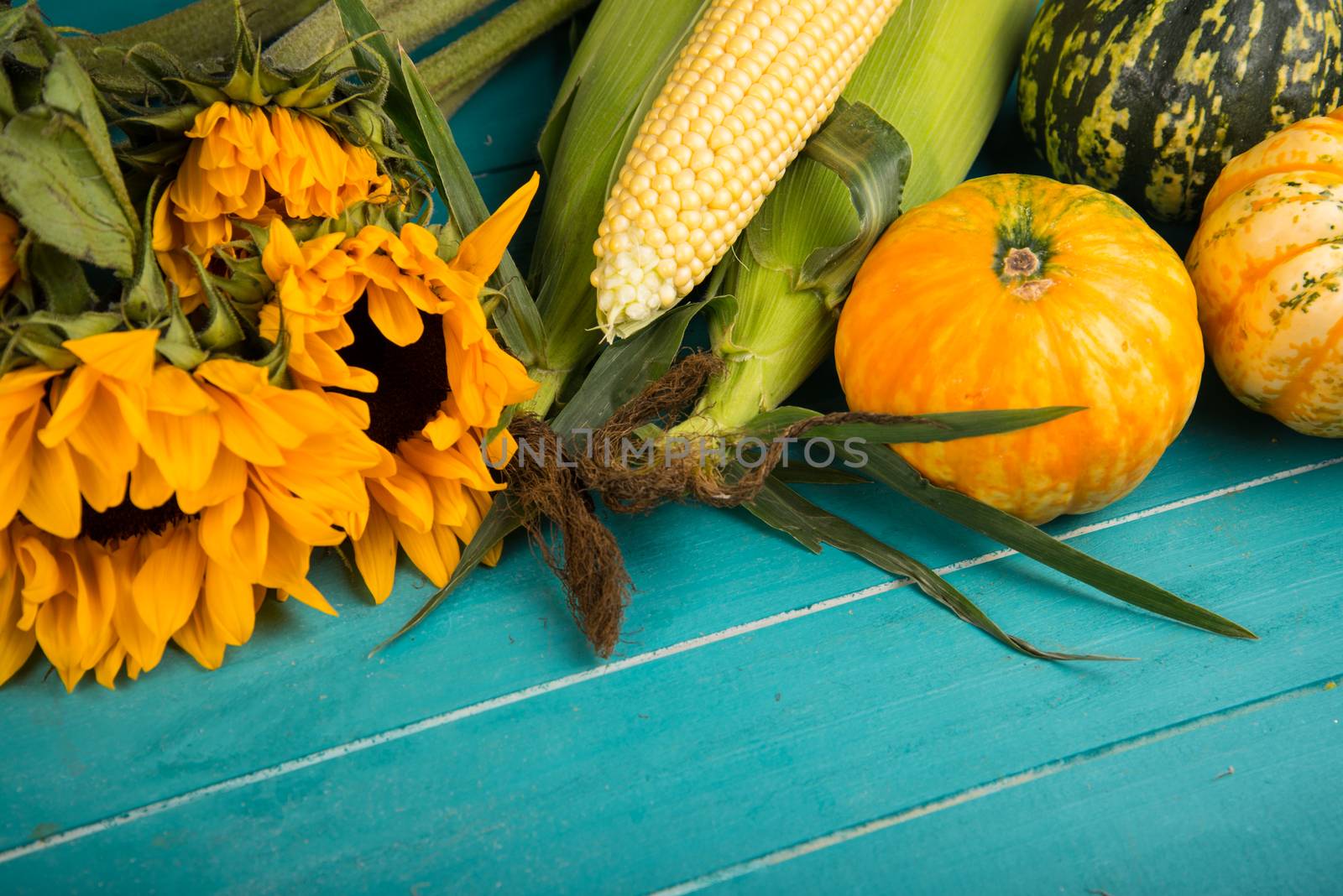 Farm fresh organic vegetables on rustic wooden blue table background