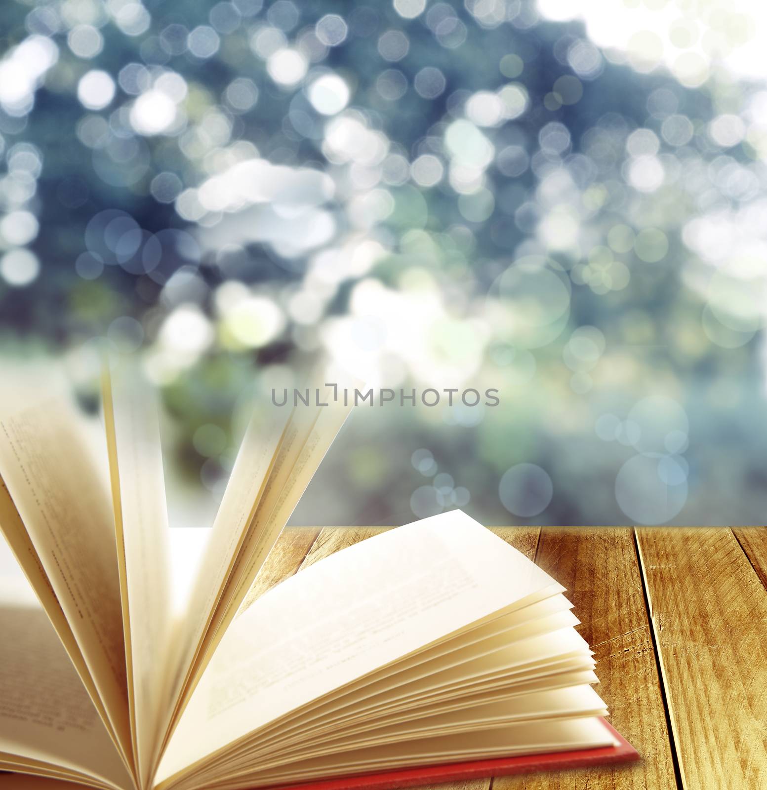 Open book and blurred background