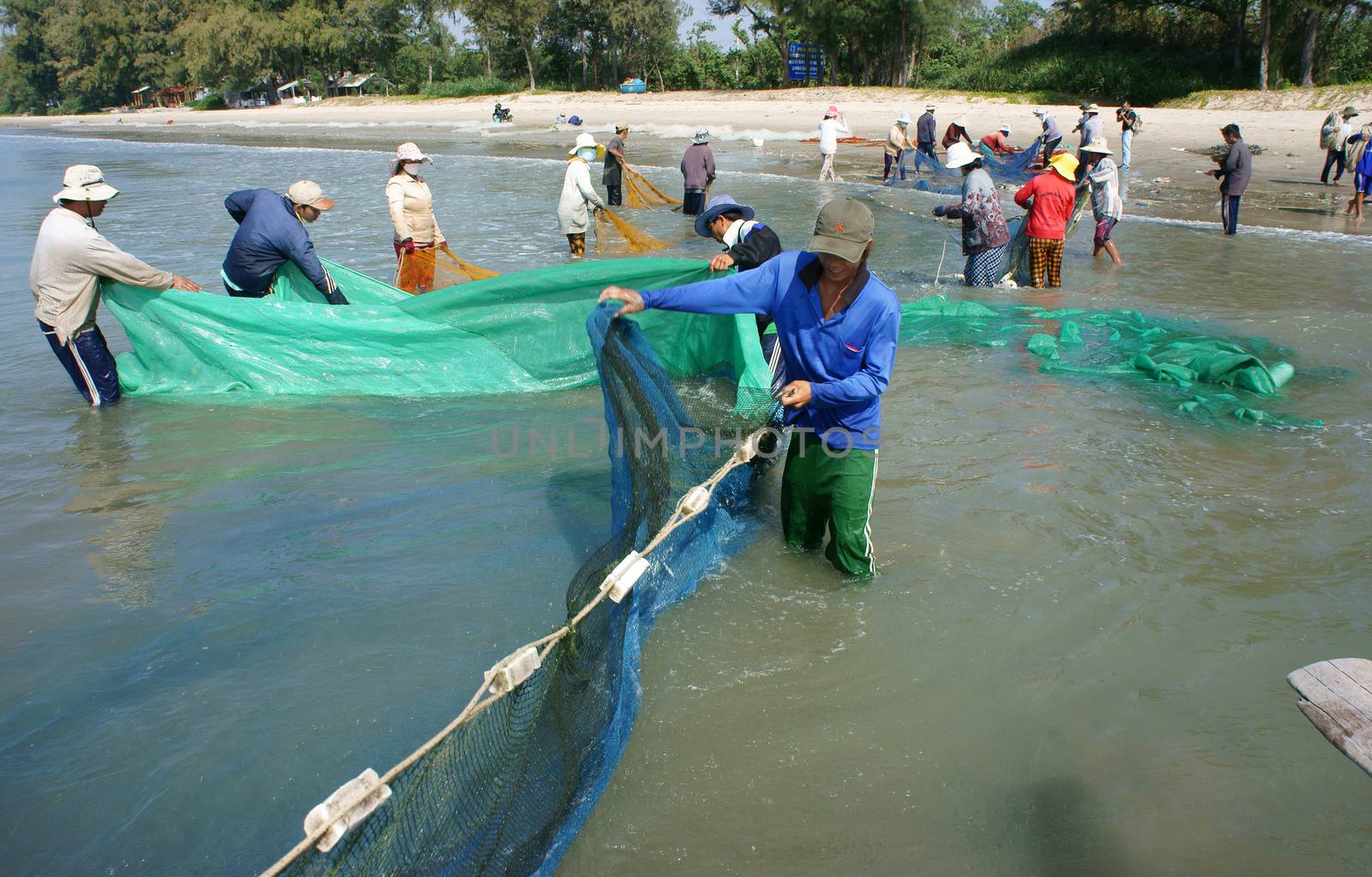 BINH THUAN, VIETNAM- JAN 22: Team work of fisherman on beach, group of people pull fishing net to catch fish, stand in row, person move to seashore, crowded atmosphere, fresh air,Viet Nam, Jan22, 2014