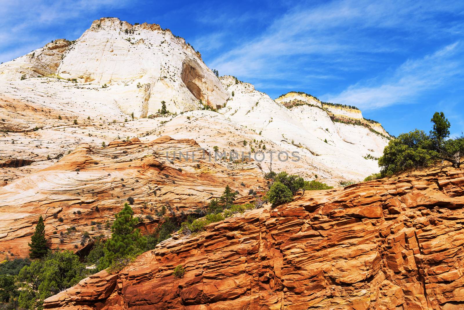 Zion National Park, USA. Scenic multicolored cliffs create an unforgettable landscape 