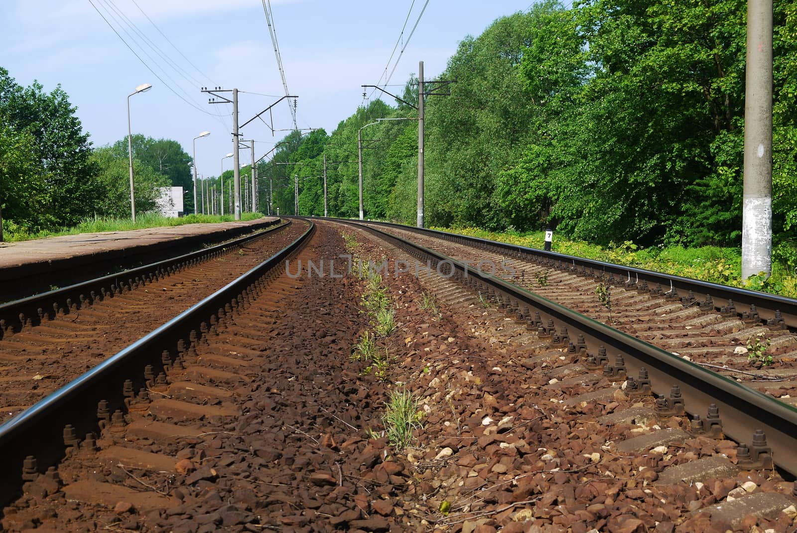 Line of railway passing forest of Latviain