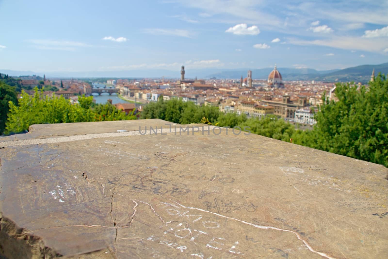 Photo shows a general view onto the city with its roofs, houses and trees.