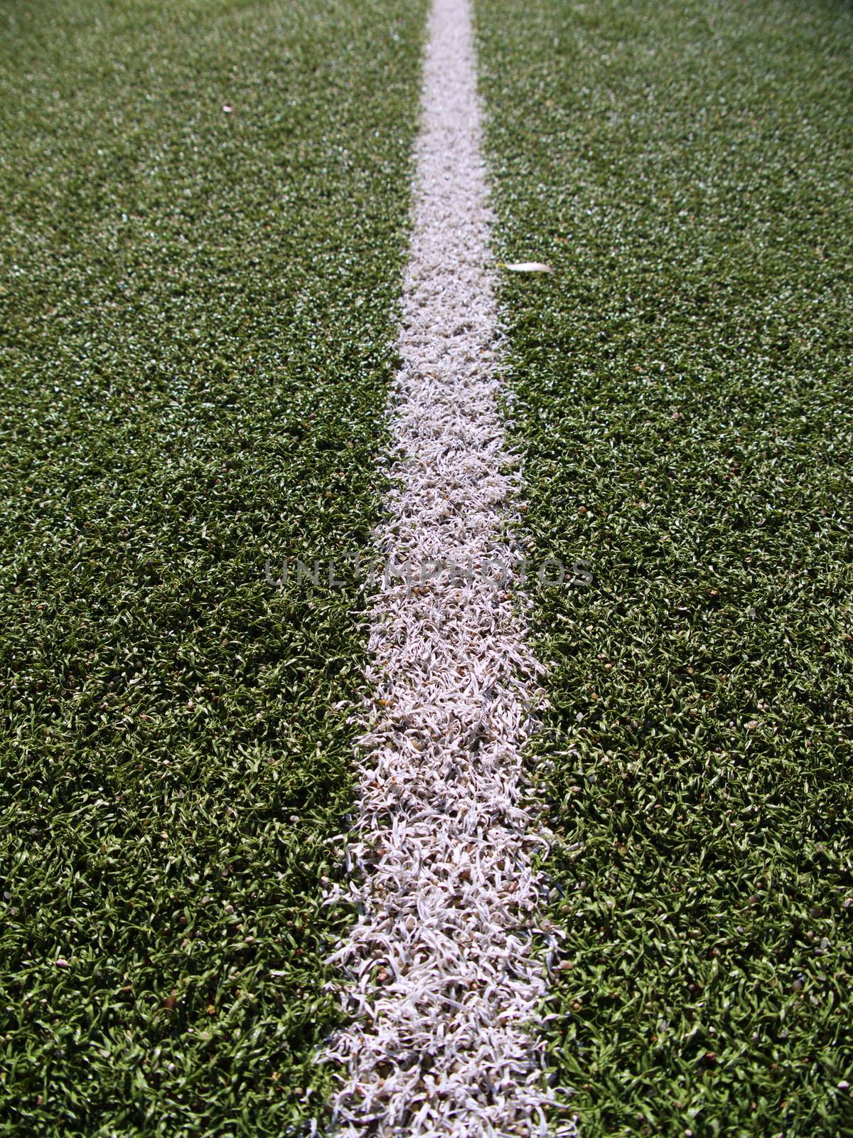 Soccer field grass line on the green