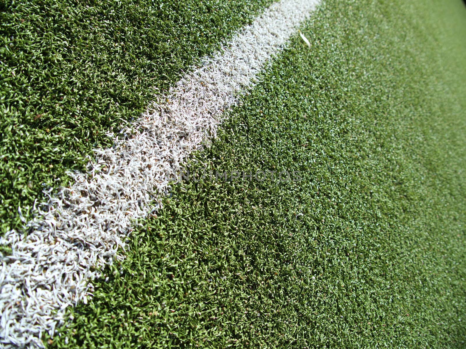 Soccer field grass line on the green