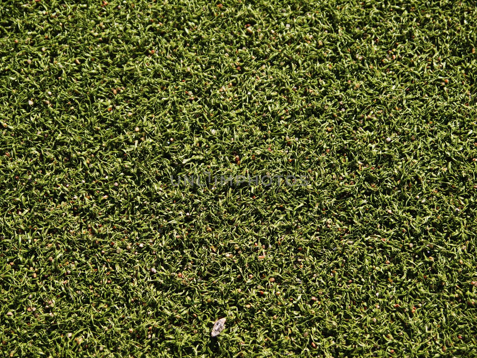 Soccer field grass on the green texture
