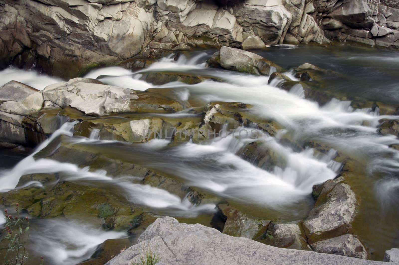 Rapids on mountain river by dred