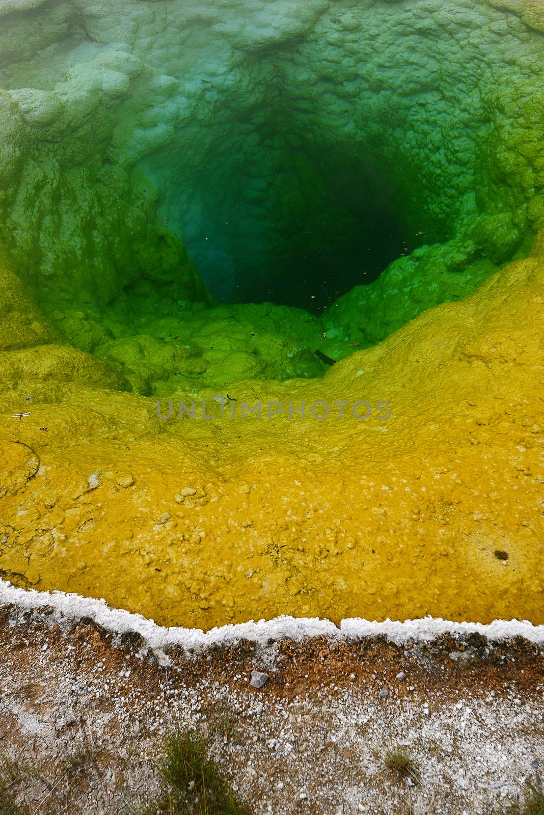 Morning Glory Pool is a hot spring inside Yellowstone National Park, Wyoming
