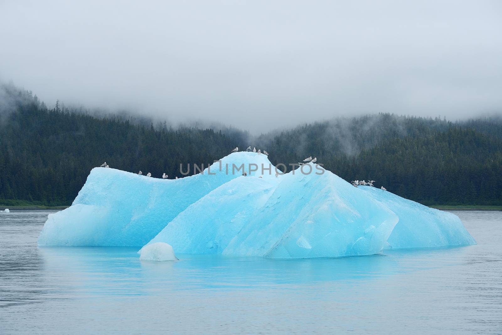 blue iceberg floating in alaska