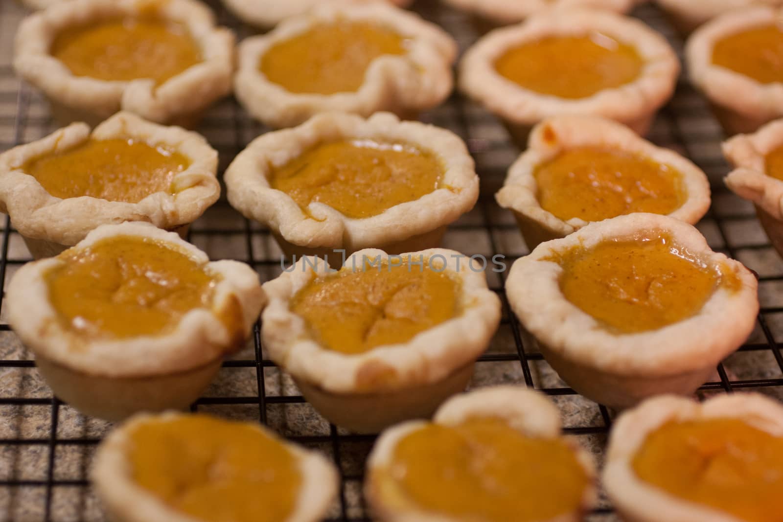 Mini or bite-sized pumpkin pies lined up on a counter top.