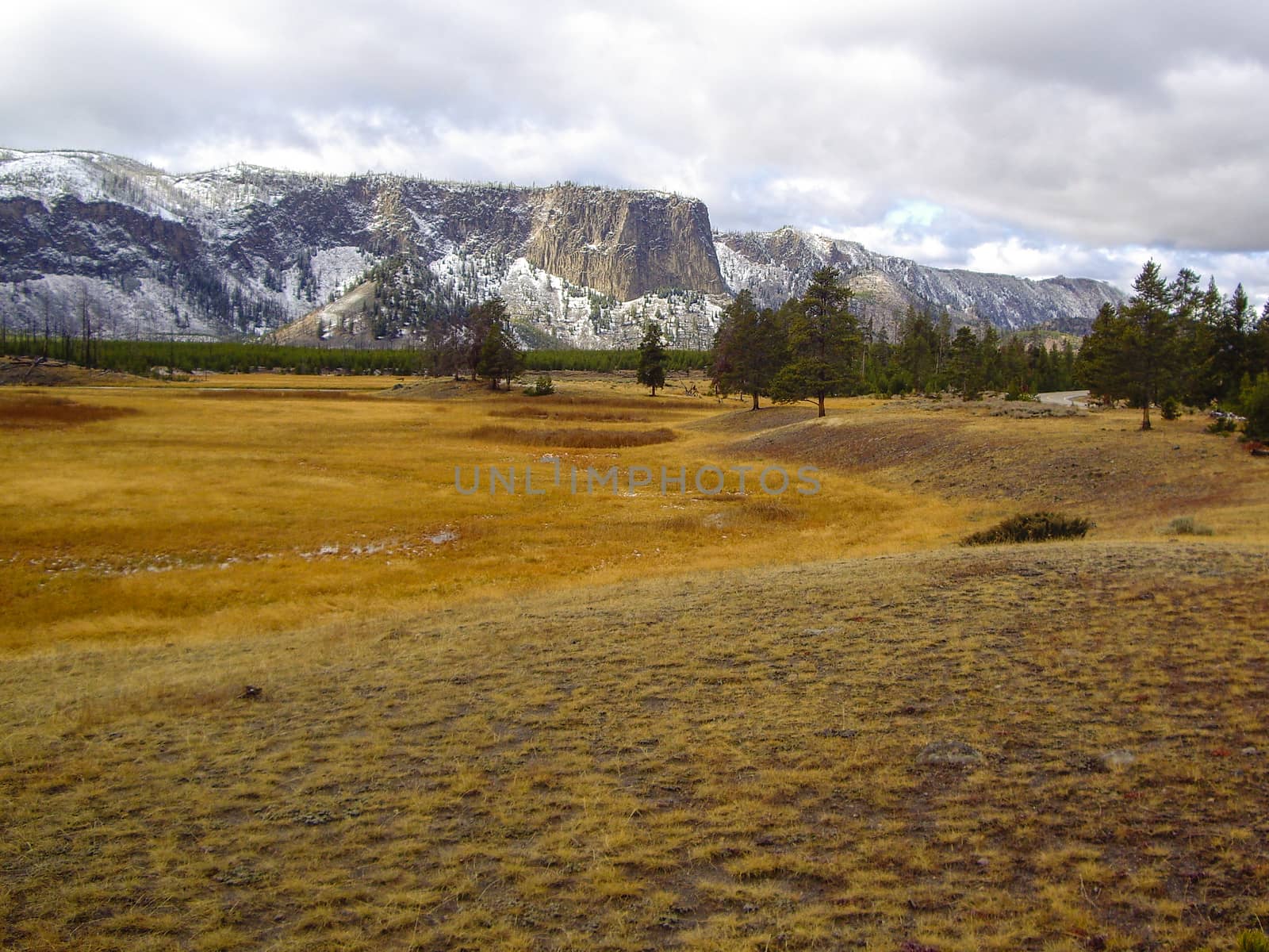 Early Winter Landscape in Yellowstone by emattil