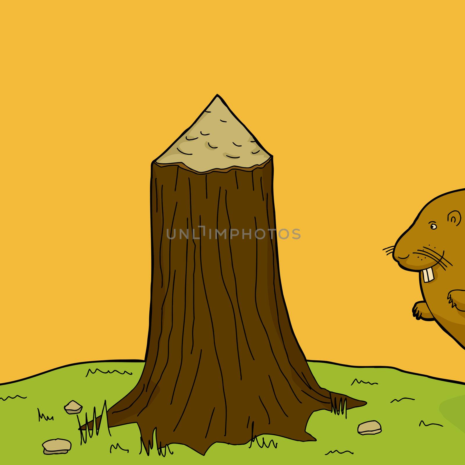 Happy beaver and tree stump with bite marks