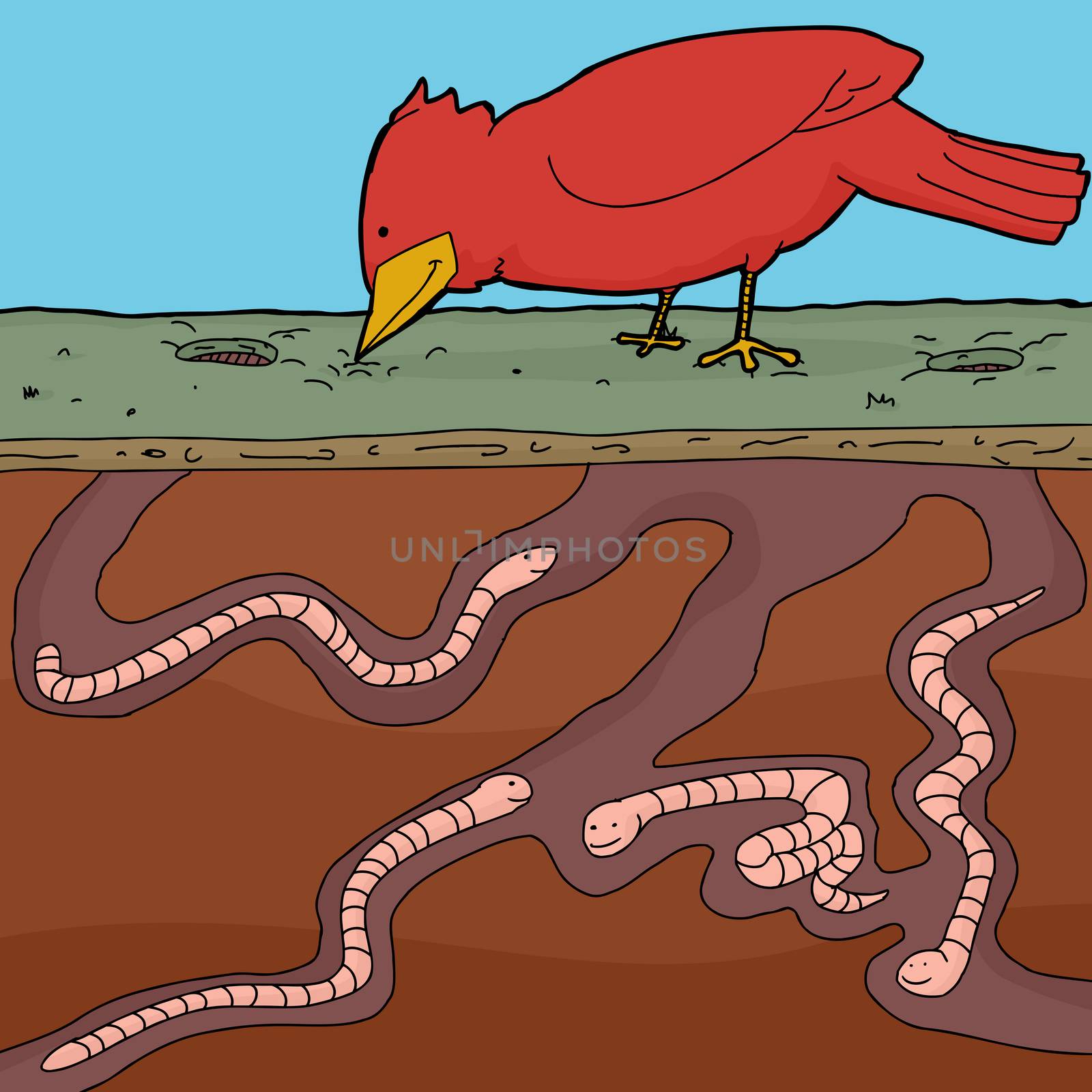 Happy red bird pecking ground with tunnelling earthworms
