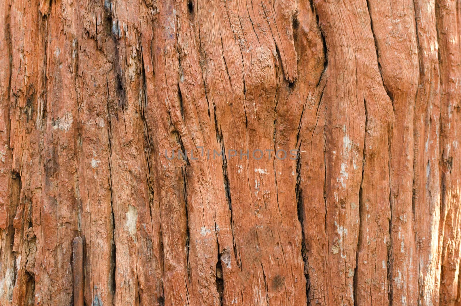large and textured red old wooden grunge background.