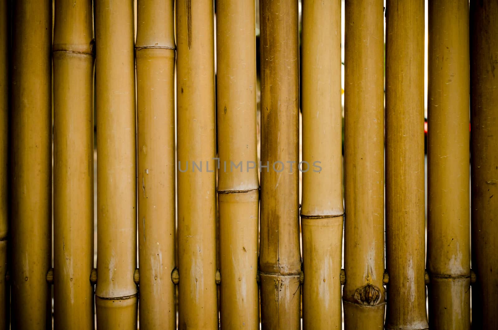 grunge yellow bamboo background and texture ,Low-key lighting