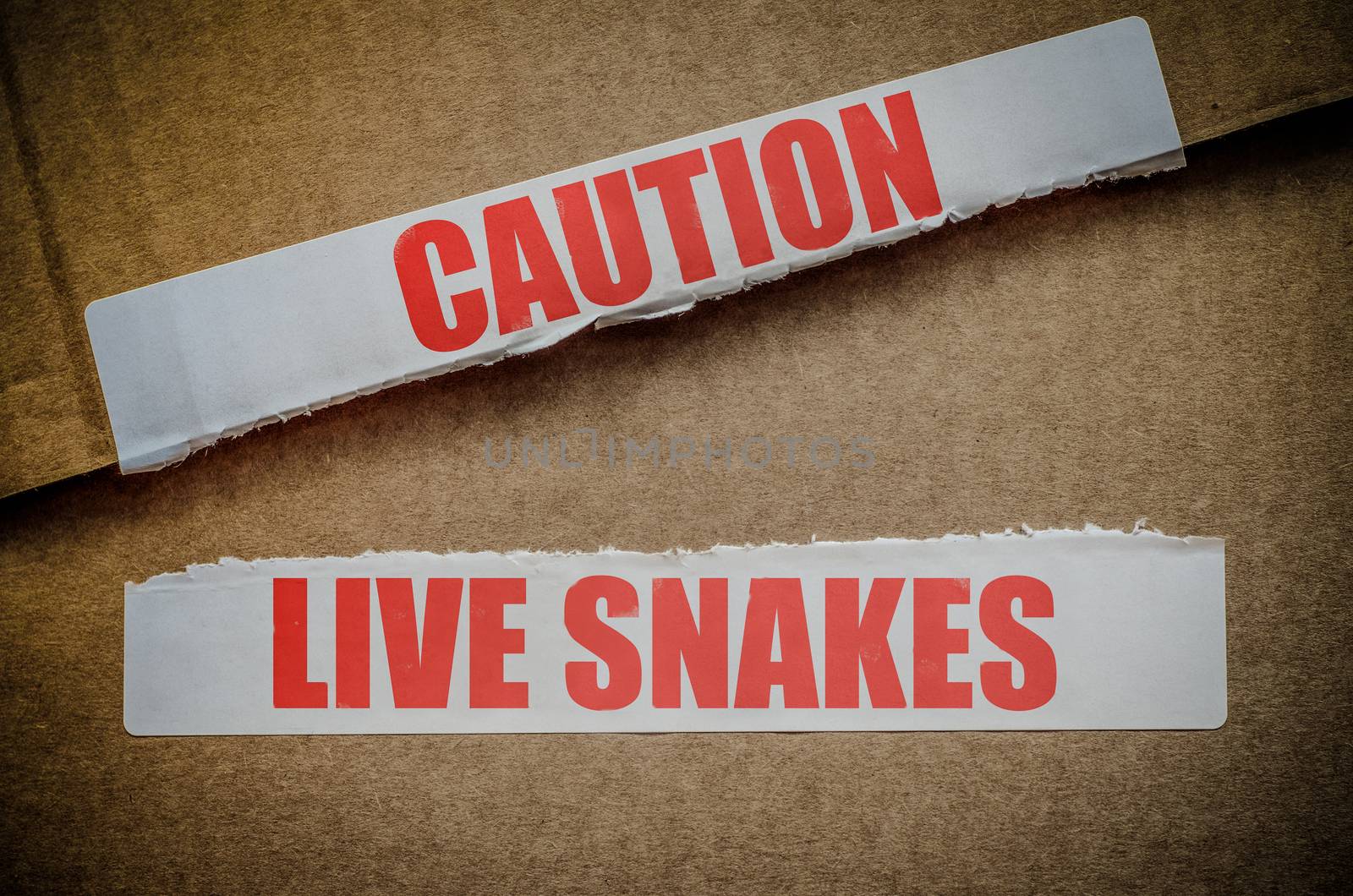Caution Live Snakes by mrdoomits