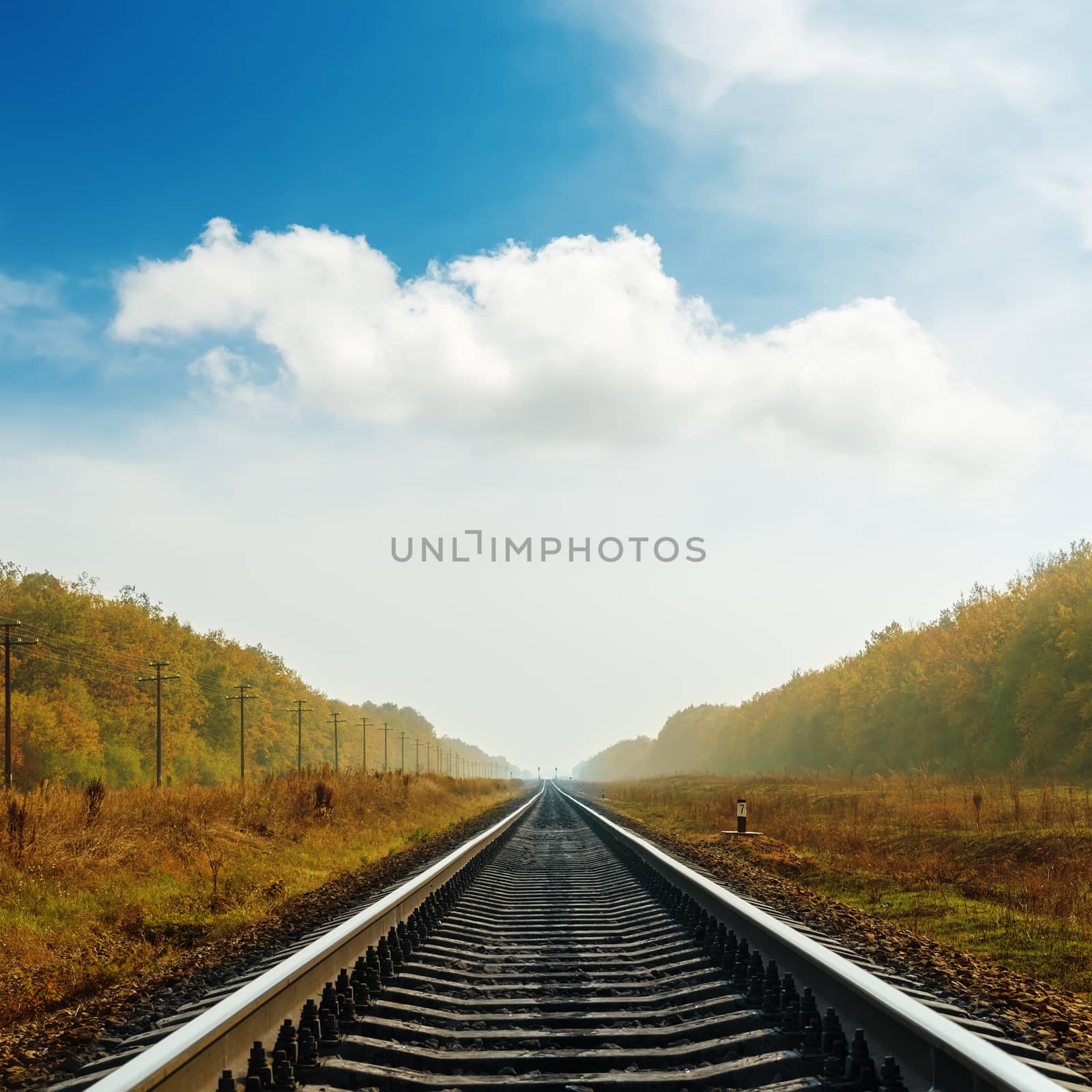 railroad to horizon in autumn