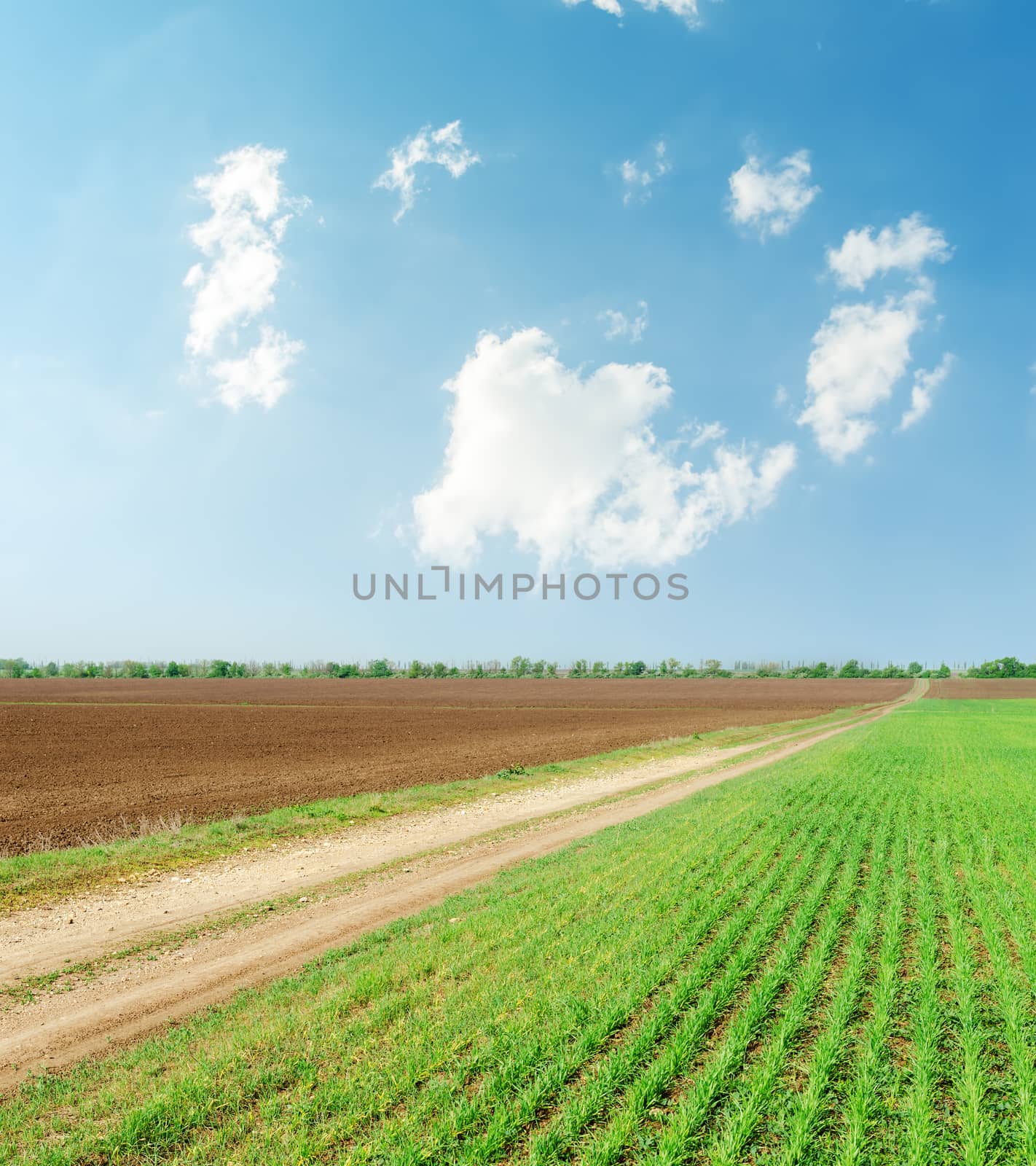 green field with road and clouds in blue sky by mycola
