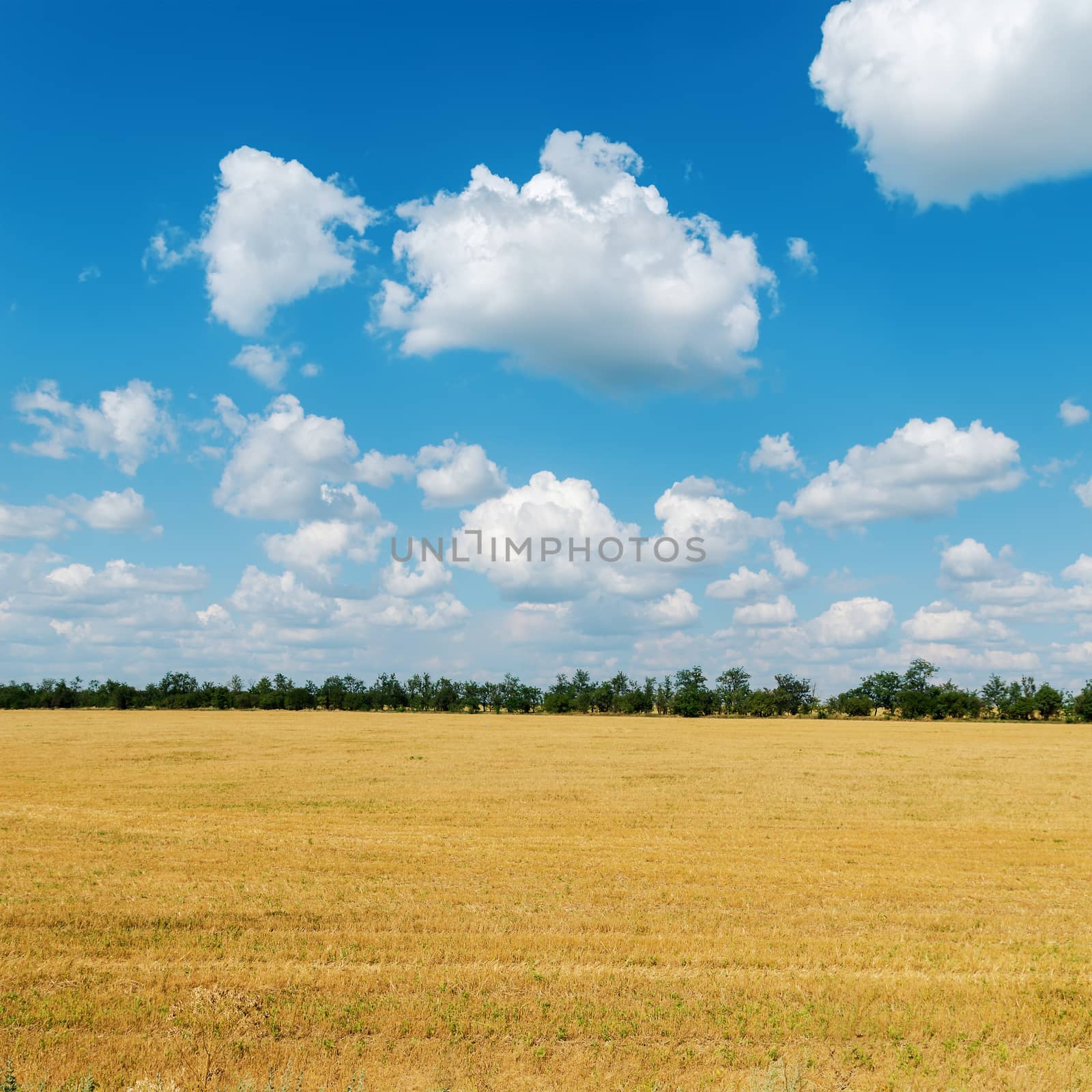 cloudy sky and field after harvesting