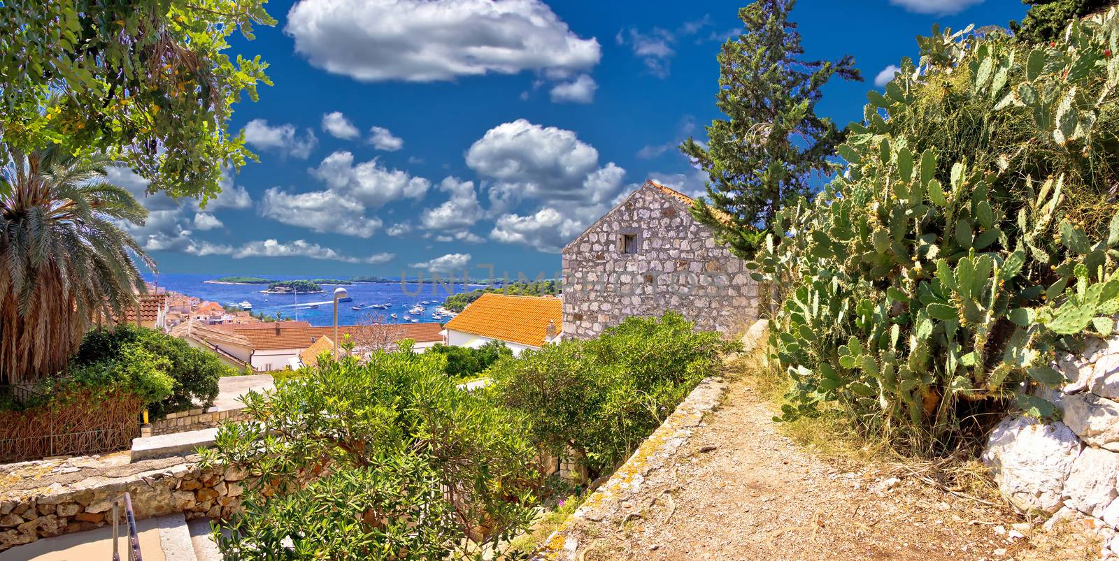 Island of Hvar coast view with cactus and palm tree, Dalmatia, Croatia